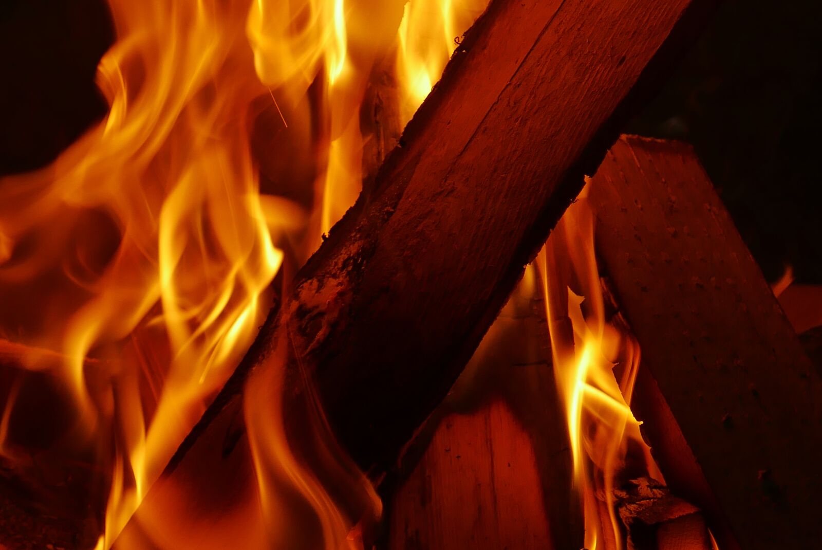 Panasonic Lumix DMC-LX100 sample photo. Fire, wood, night photography