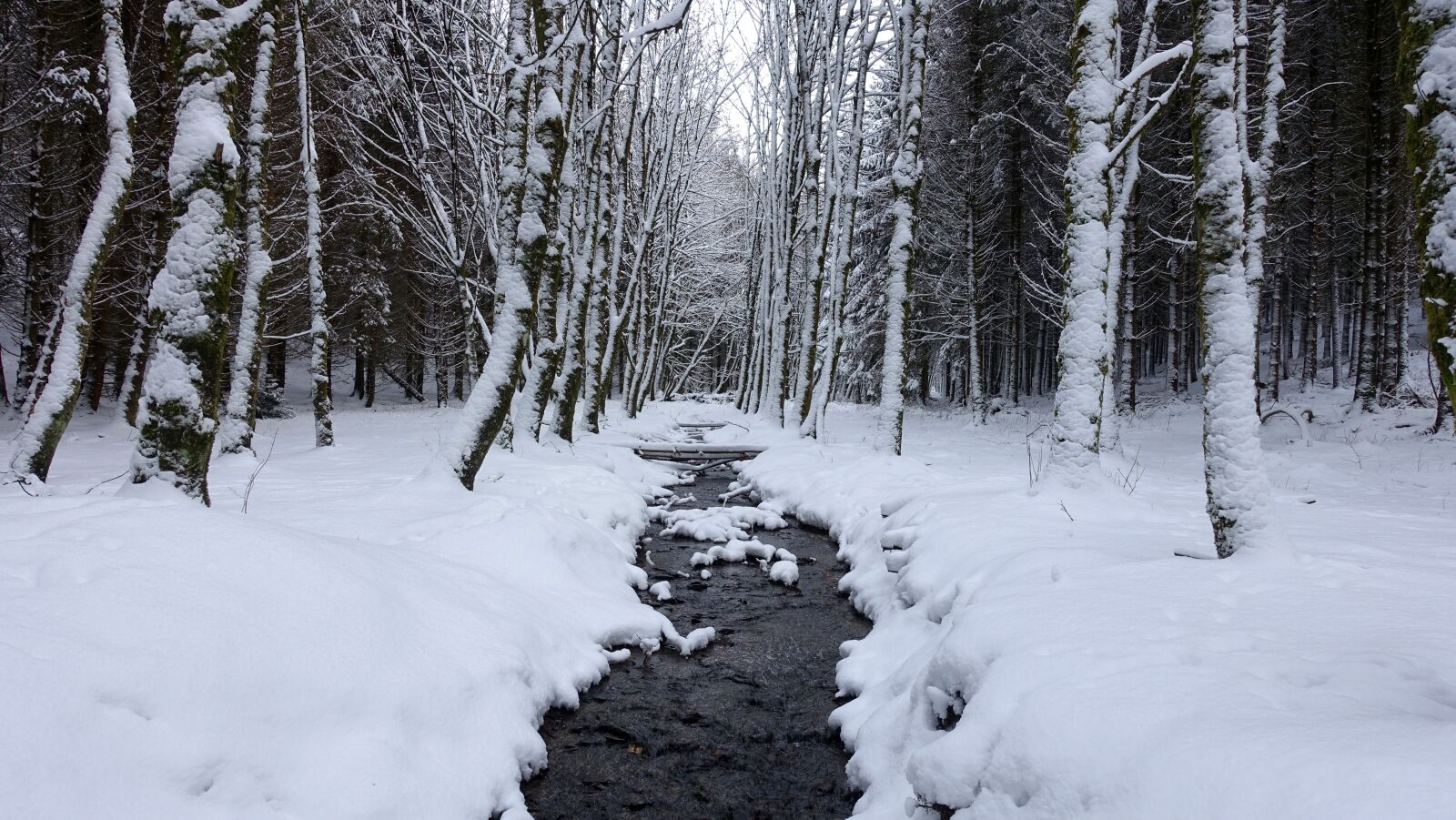 Sony Cyber-shot DSC-RX100 III sample photo. Snow, white, winter landscape photography