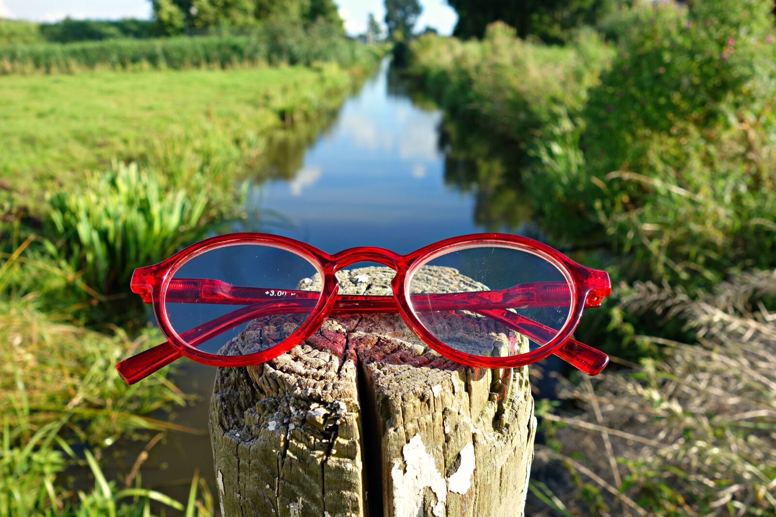 Sony Cyber-shot DSC-RX100 sample photo. Glasses, spectacles, eye wear photography