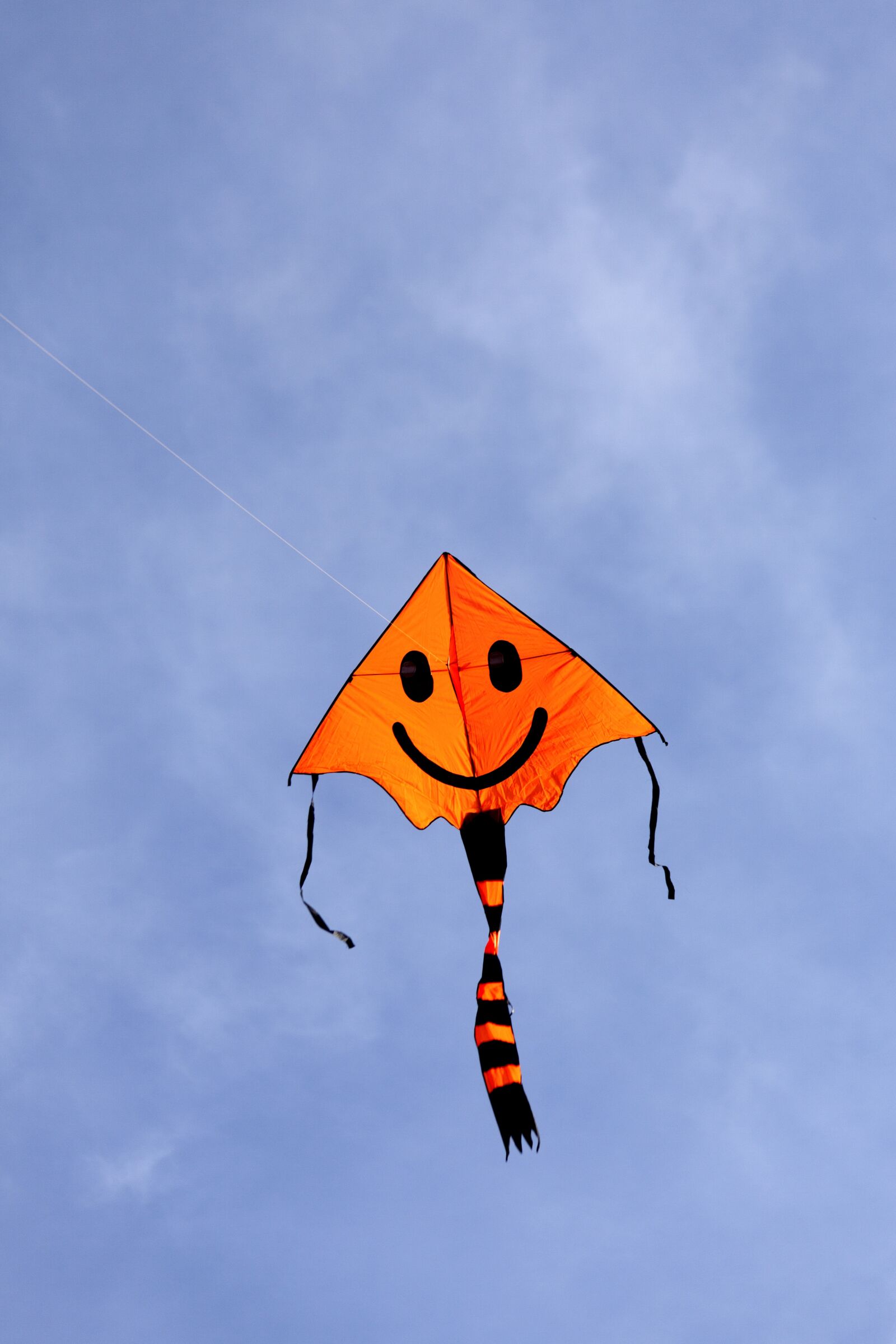 Canon EOS 5D Mark II sample photo. Kite, dragon, autumn photography