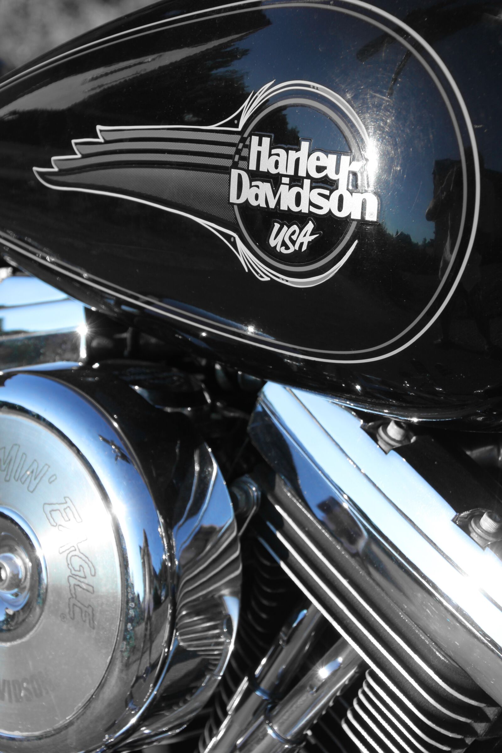 Canon EOS 550D (EOS Rebel T2i / EOS Kiss X4) sample photo. Harley davidson, motorcycle, harley photography