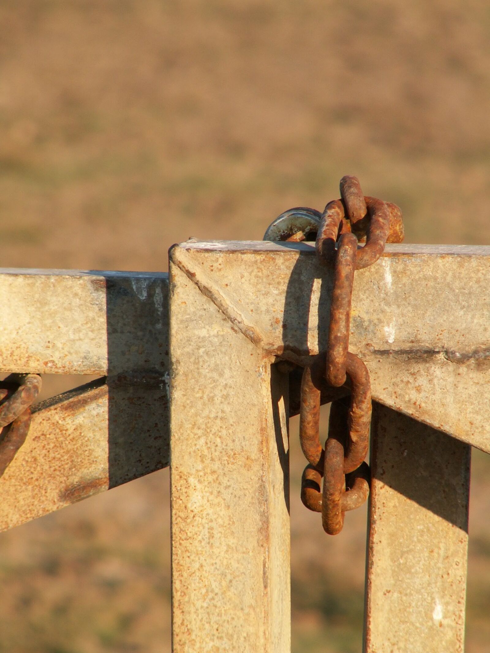 KONICA MINOLTA DiMAGE Z3 sample photo. Chain, door, close photography