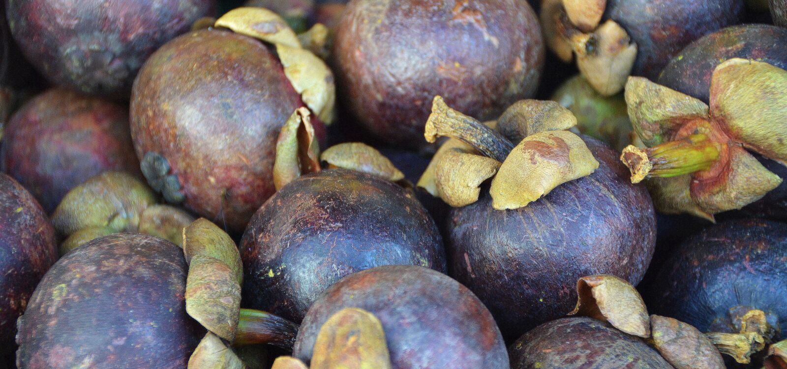 Nikon D3200 sample photo. Mangosteen, fruit, plum photography