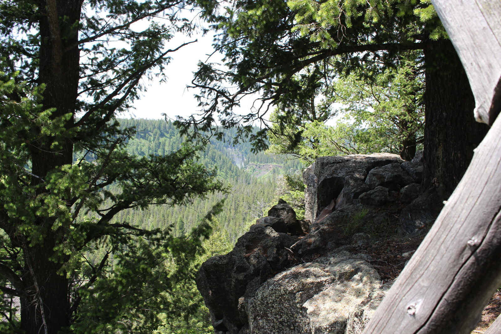 Canon EOS 700D (EOS Rebel T5i / EOS Kiss X7i) sample photo. Idaho photography