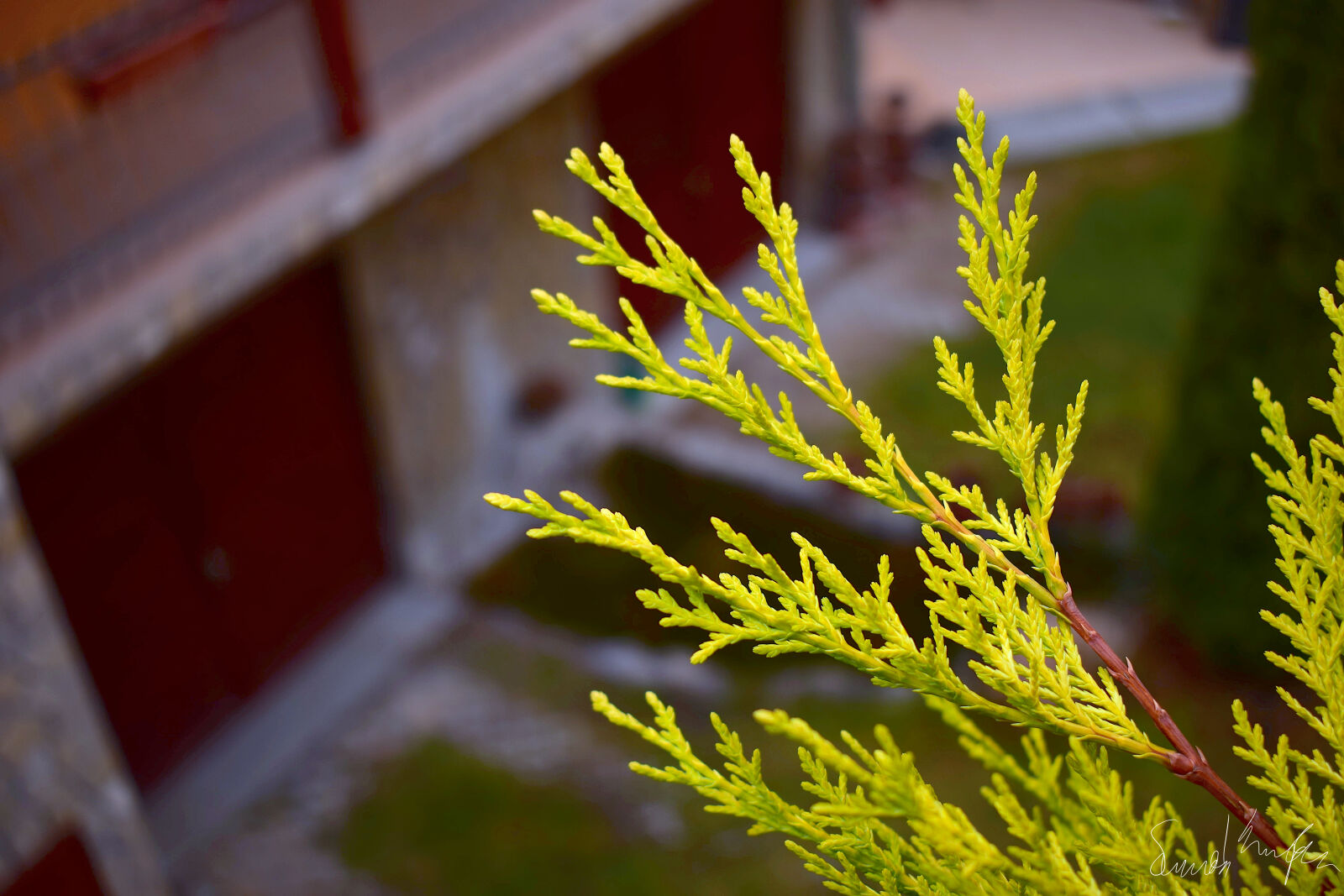 Nikon D3300 sample photo. Nature, photography photography
