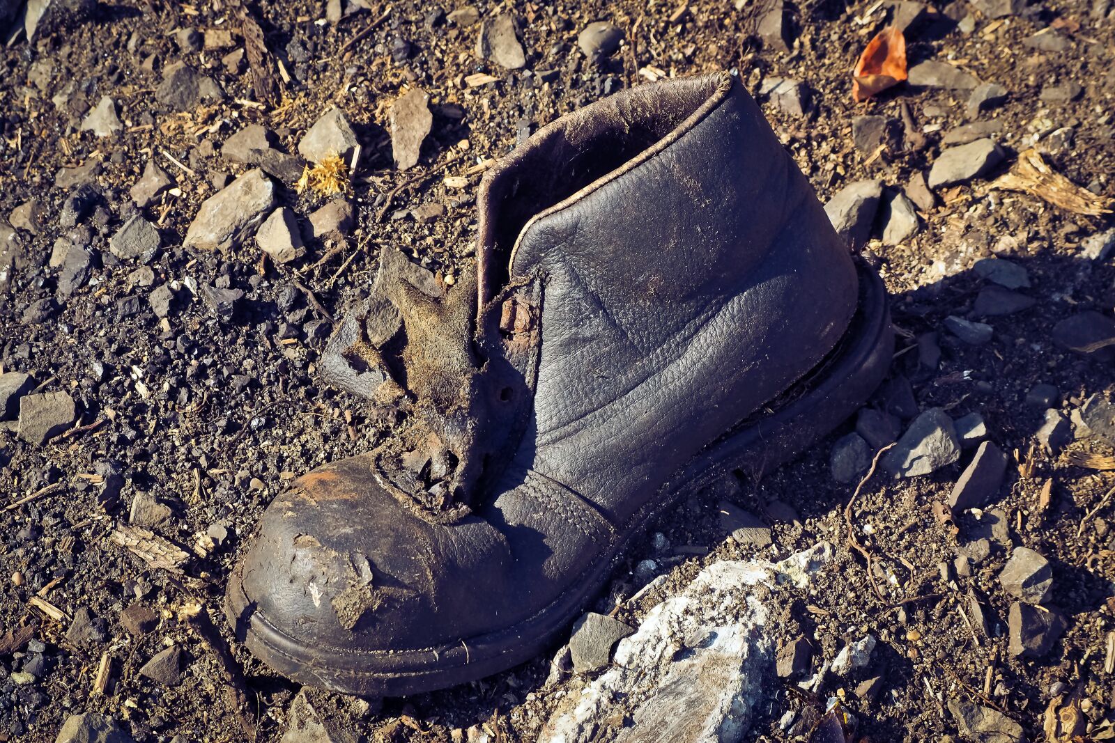 Olympus OM-D E-M10 sample photo. Garbage, debris, waste photography