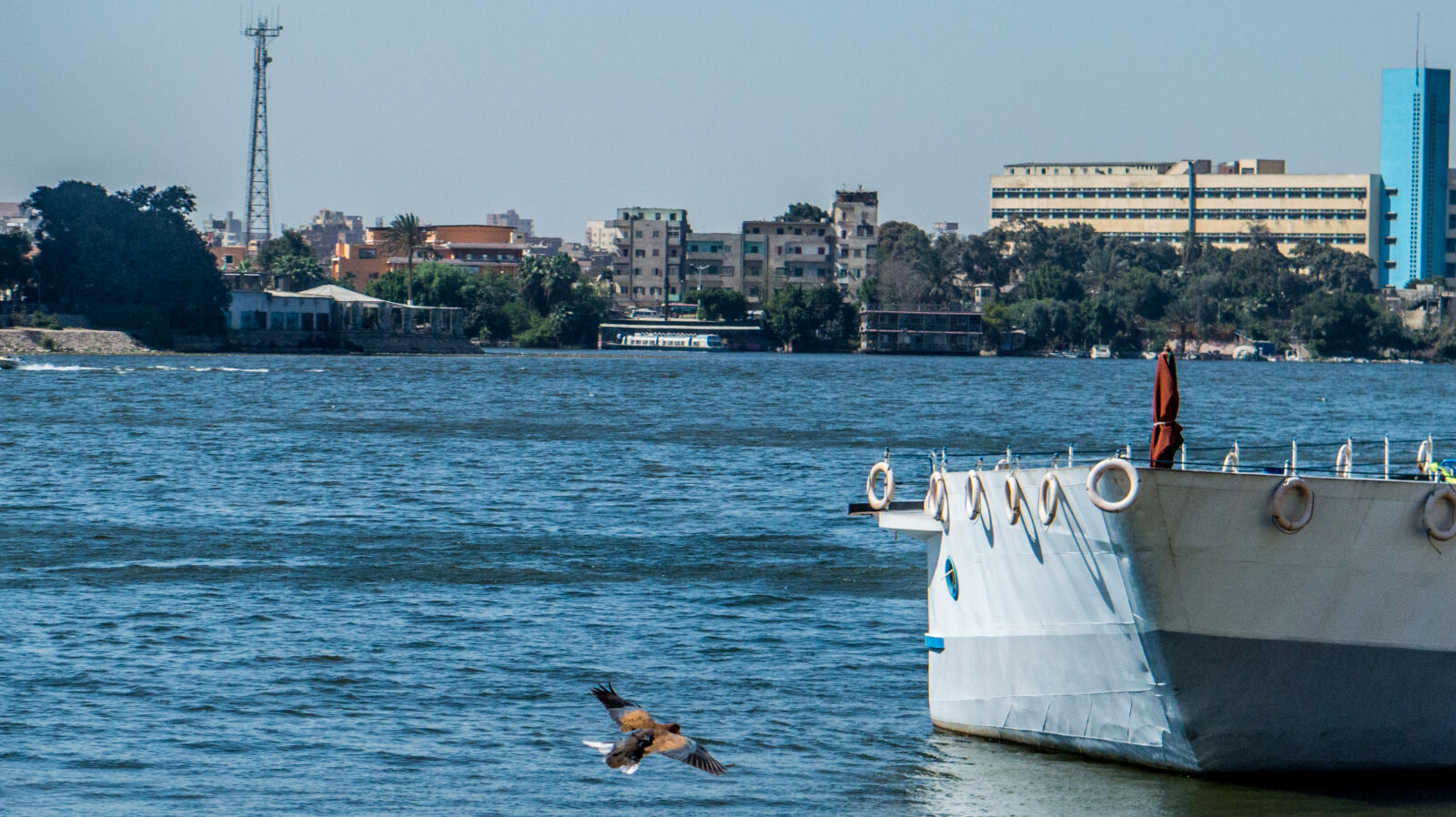 Nikon D3200 sample photo. Bird, blue, boat, building photography