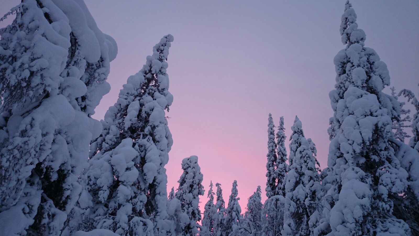 Sony Xperia Z2 sample photo. Sunset, snow, winter photography
