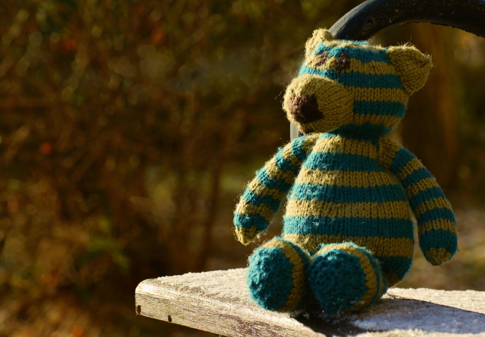 Nikon D5200 sample photo. Teddy, teddy bear, knitted photography