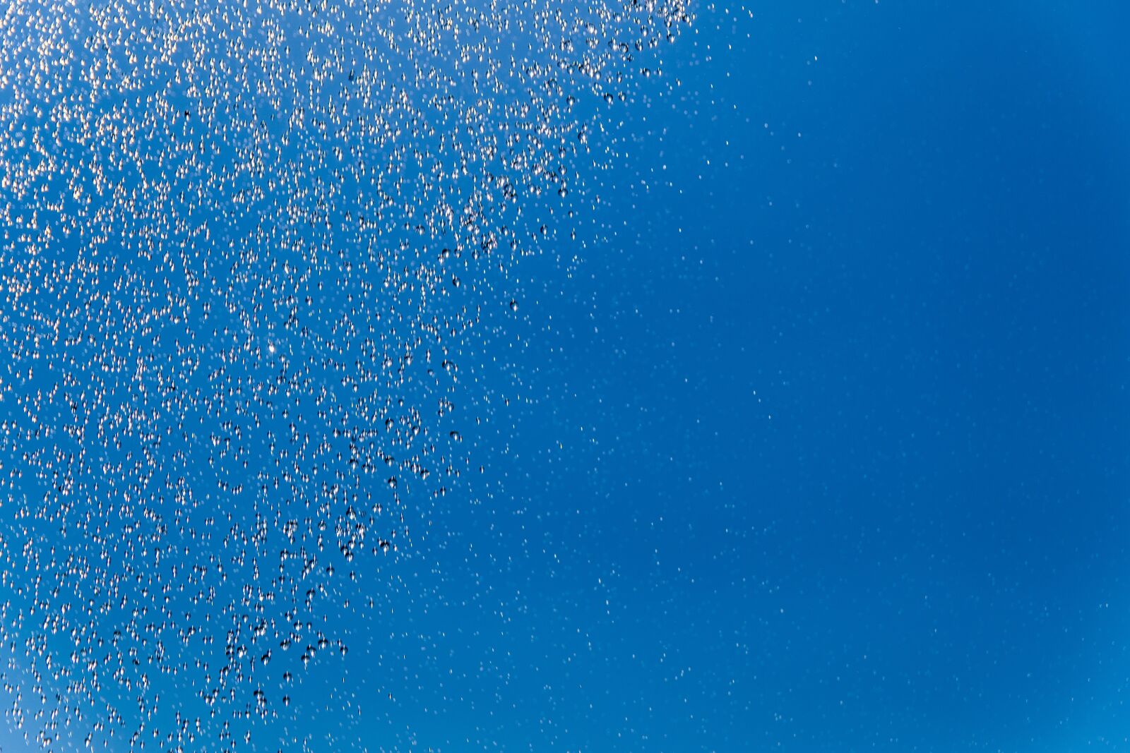 Pentax K-S2 sample photo. Blue background, drops of photography