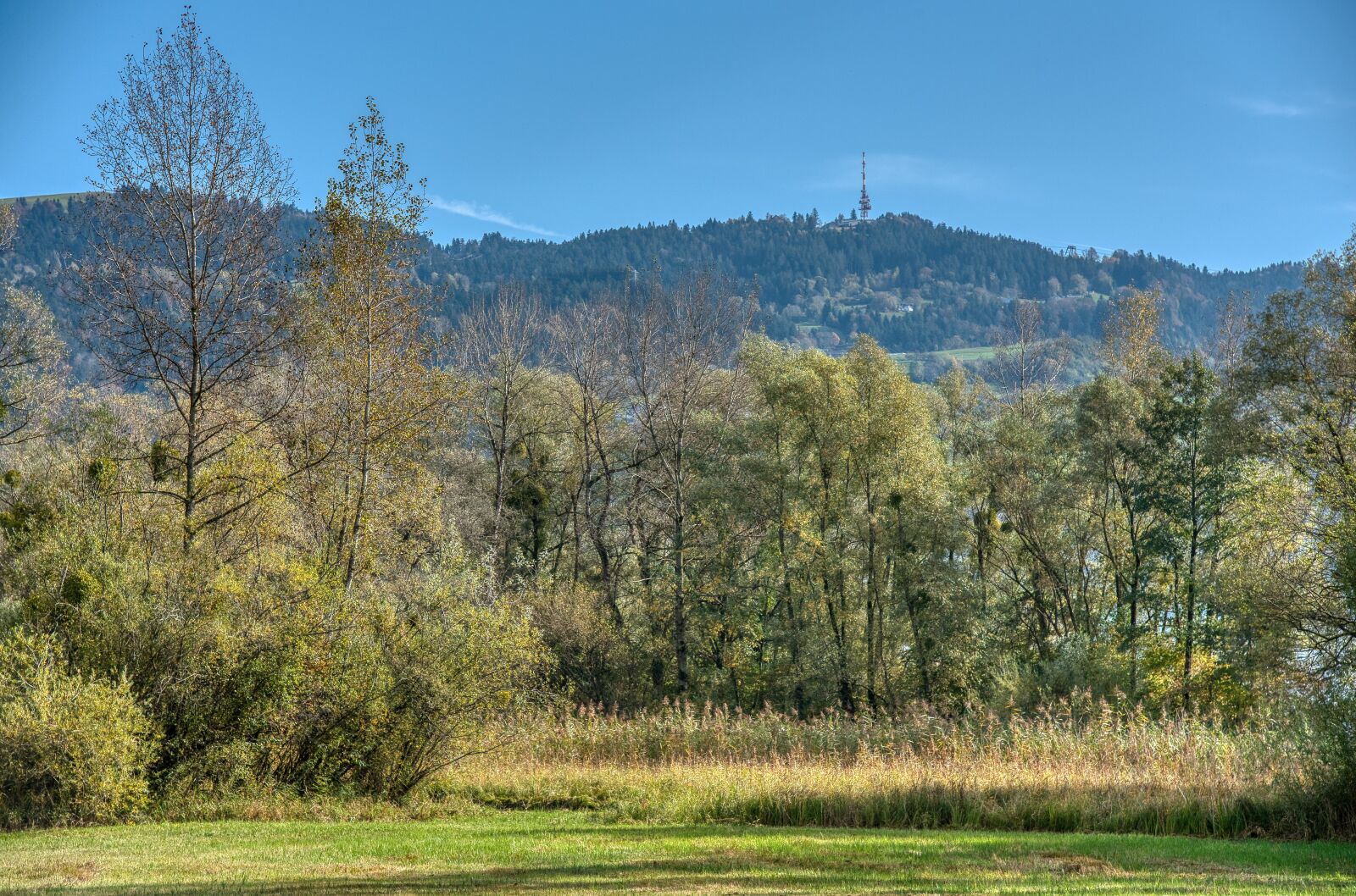Nikon D750 sample photo. Autumn, landscape, meadow photography