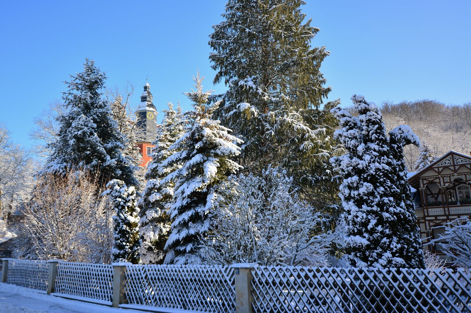 Nikon D5200 sample photo. Winter, snowy, frosty photography