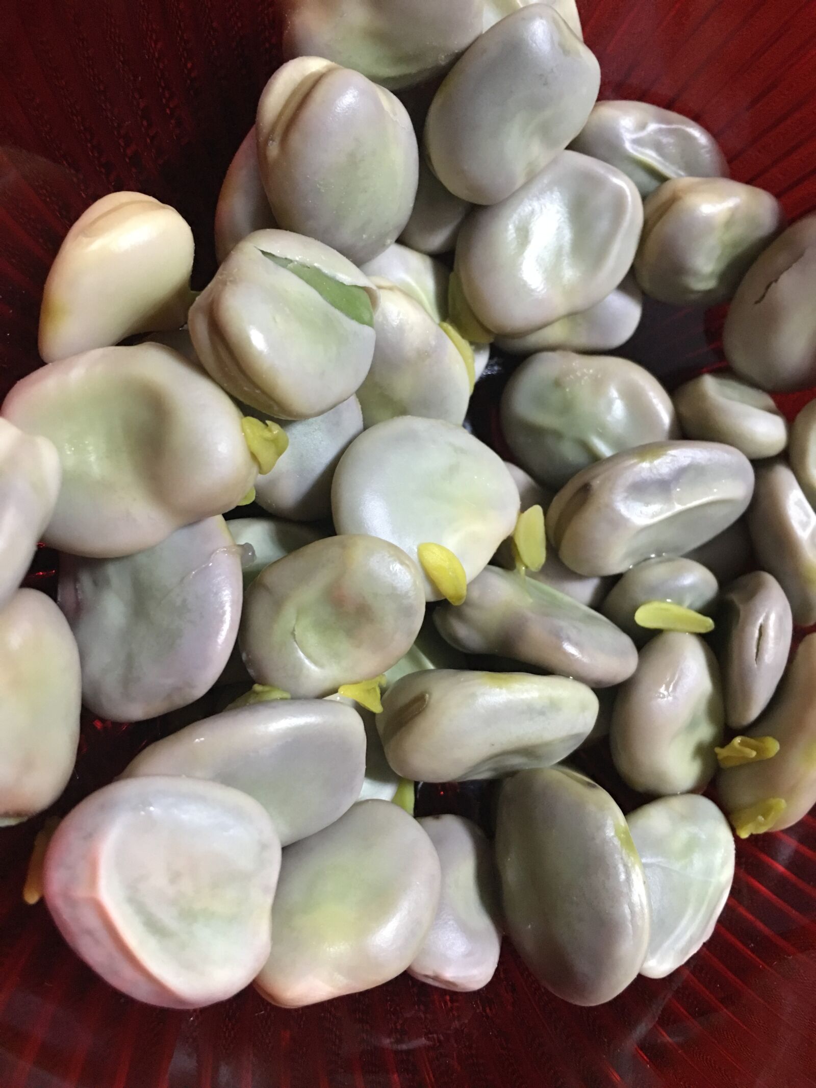 Apple iPhone 6s Plus sample photo. Broad bean, vitamins, vegetables photography