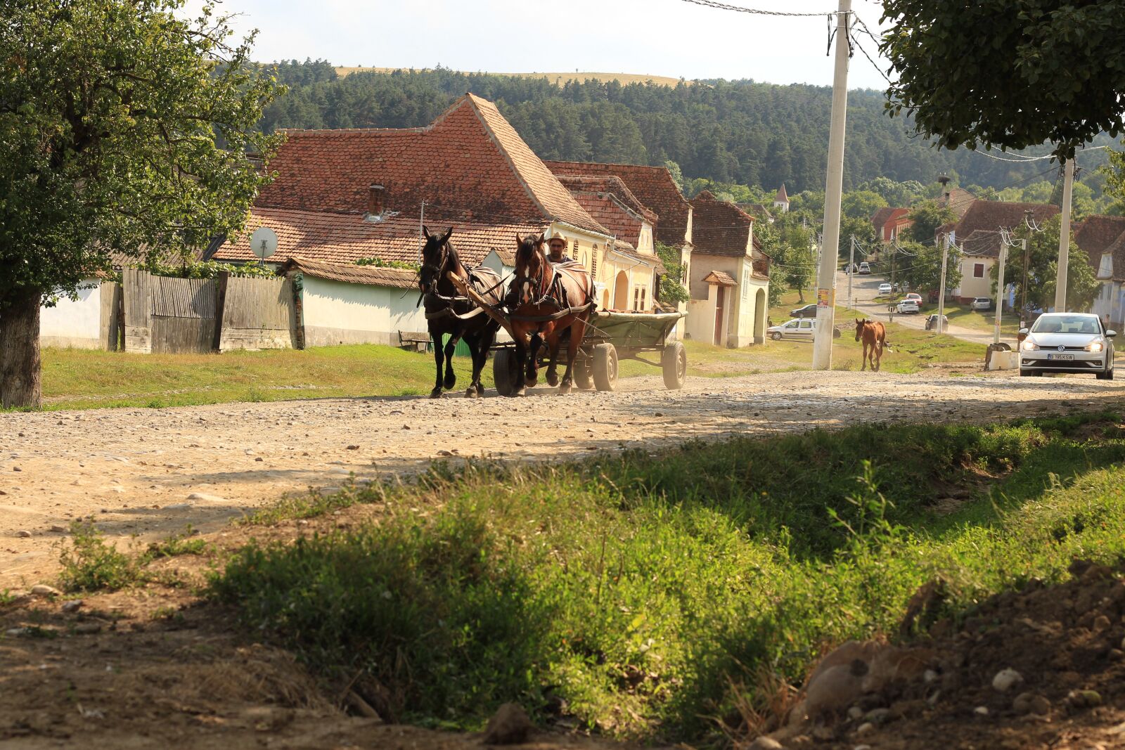 Canon EOS 700D (EOS Rebel T5i / EOS Kiss X7i) sample photo. Horses, coach, romania photography