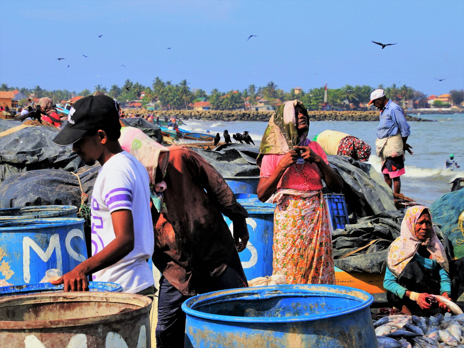 Canon EOS 80D sample photo. Fish market, boiling hot photography