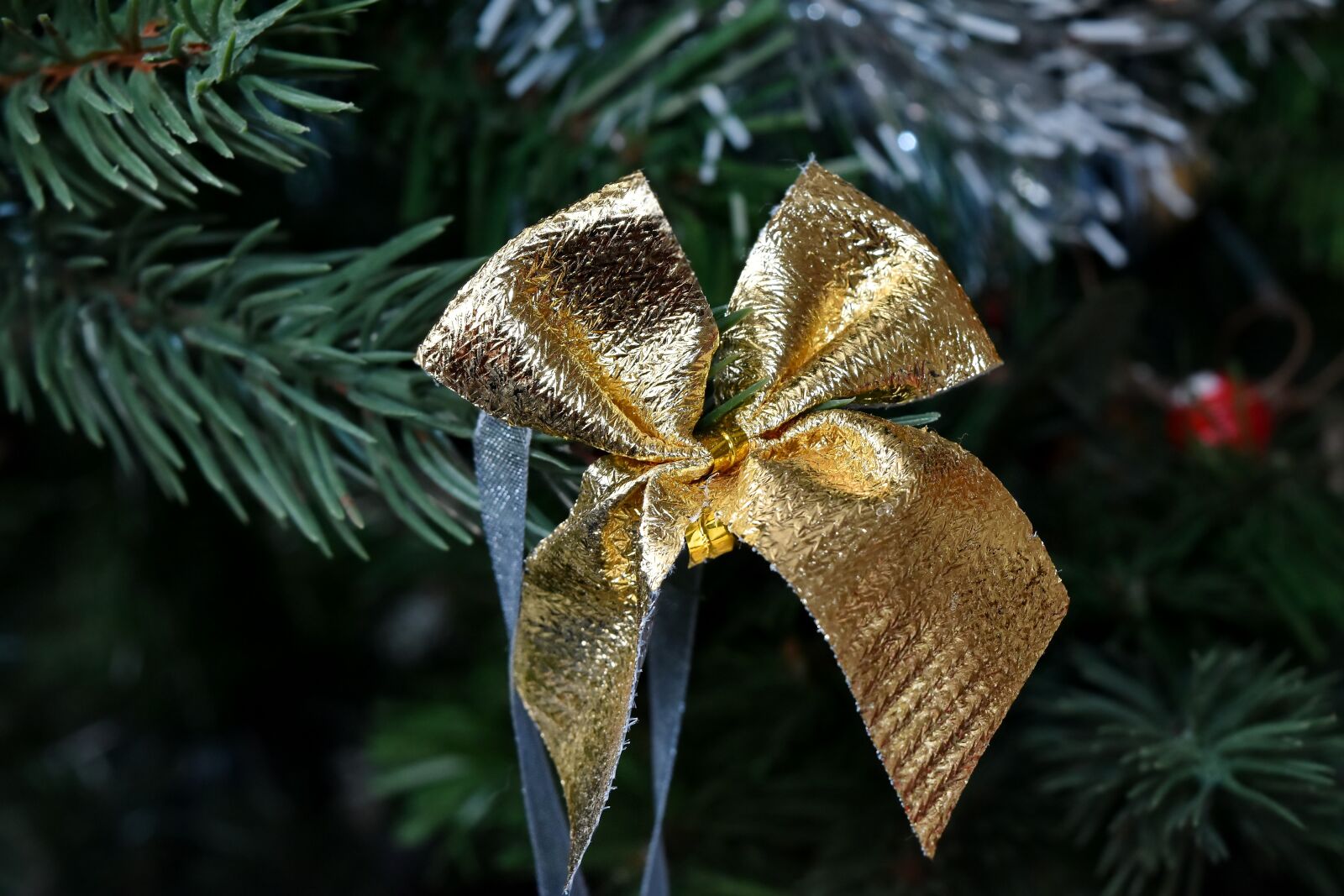 Nikon D5500 sample photo. Christmas tree, golden glow photography