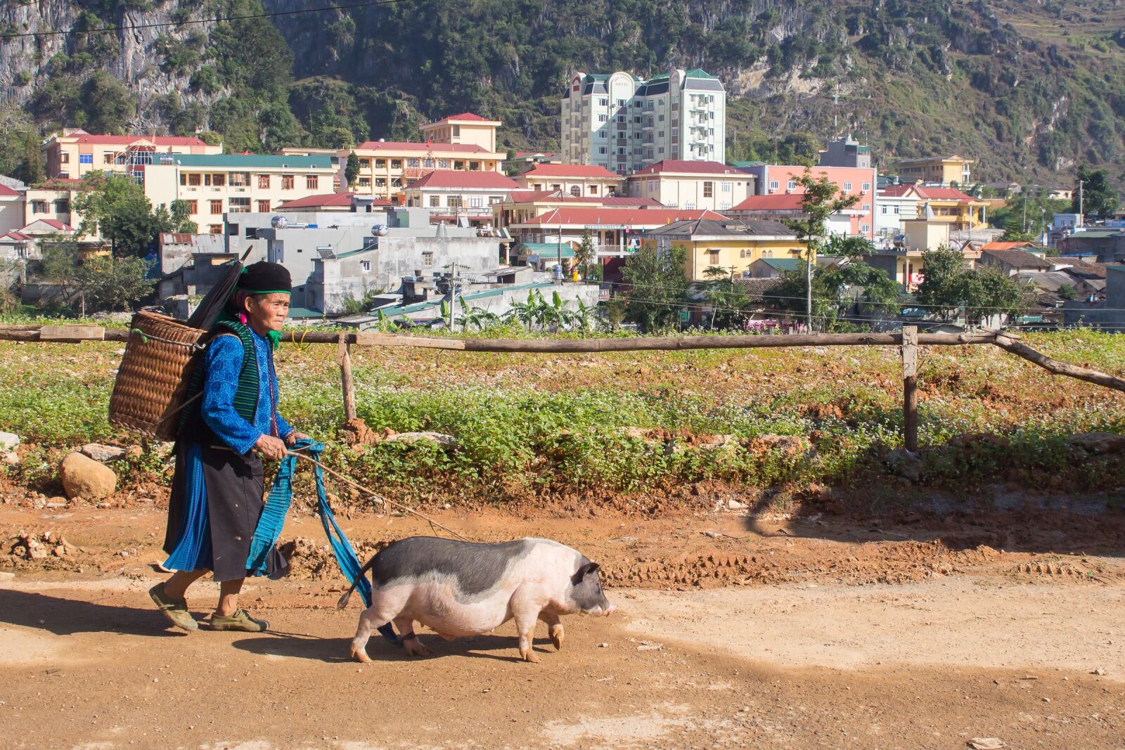Canon EOS 600D (Rebel EOS T3i / EOS Kiss X5) sample photo. Woman, old, pig photography
