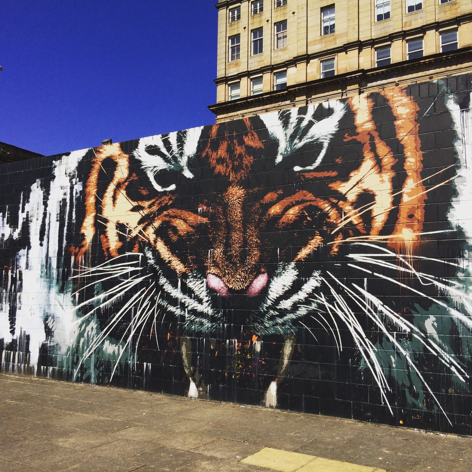 iPhone 5s back camera 4.15mm f/2.2 sample photo. Street art, graffiti, art photography