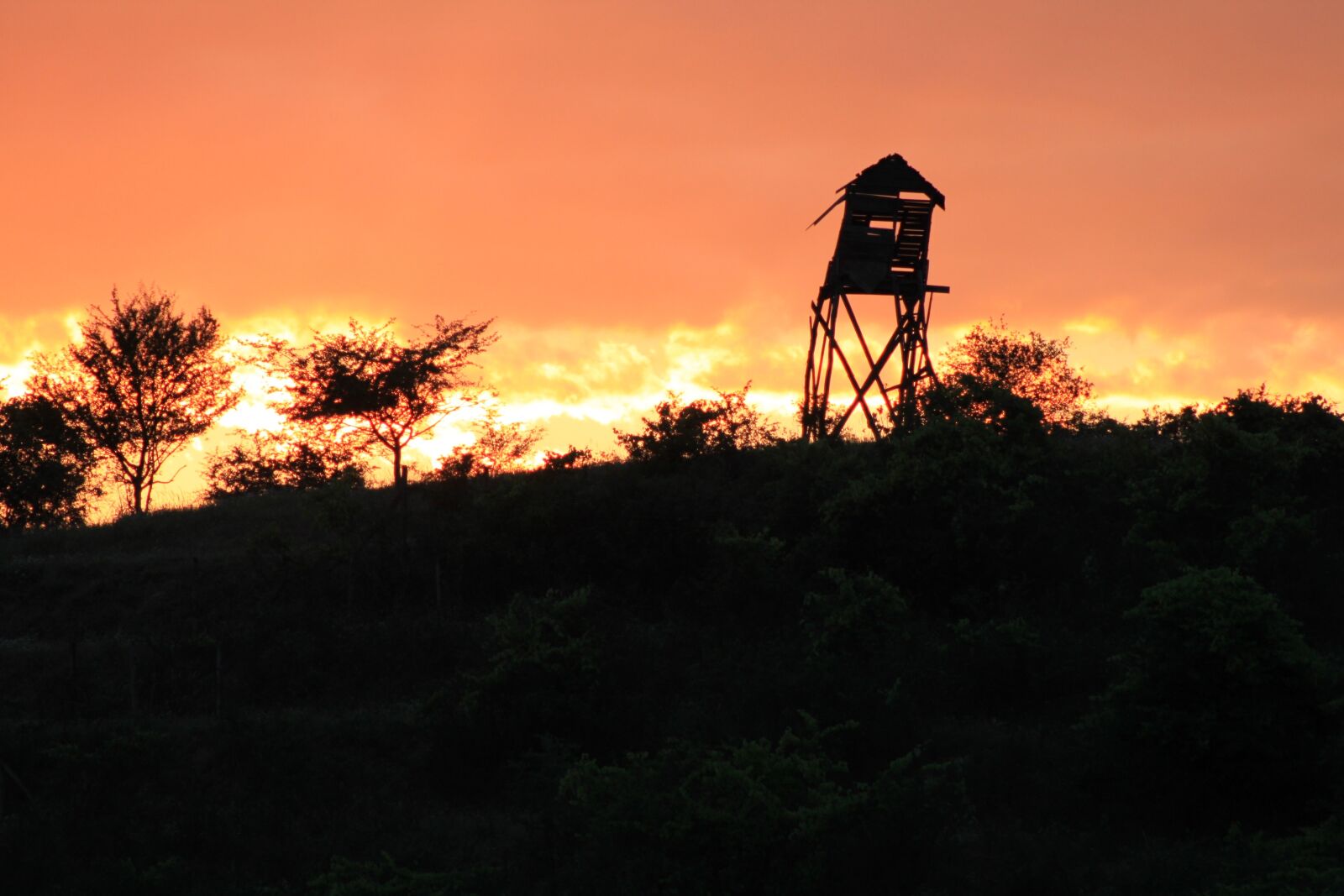 Canon EOS 500D (EOS Rebel T1i / EOS Kiss X3) sample photo. Sunset, hunting, nature photography