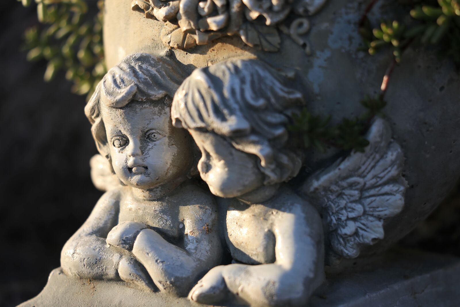 Canon EOS 6D sample photo. Two angels, wings, statue photography