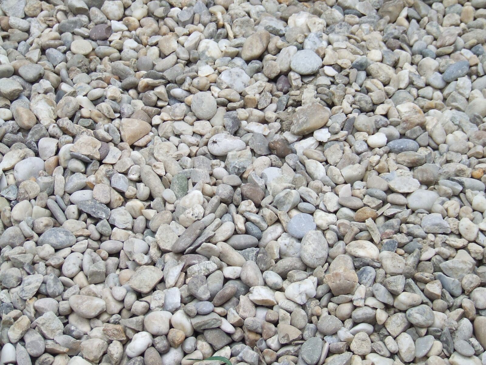 Fujifilm FinePix S5600 sample photo. Gravel, sand, stones photography