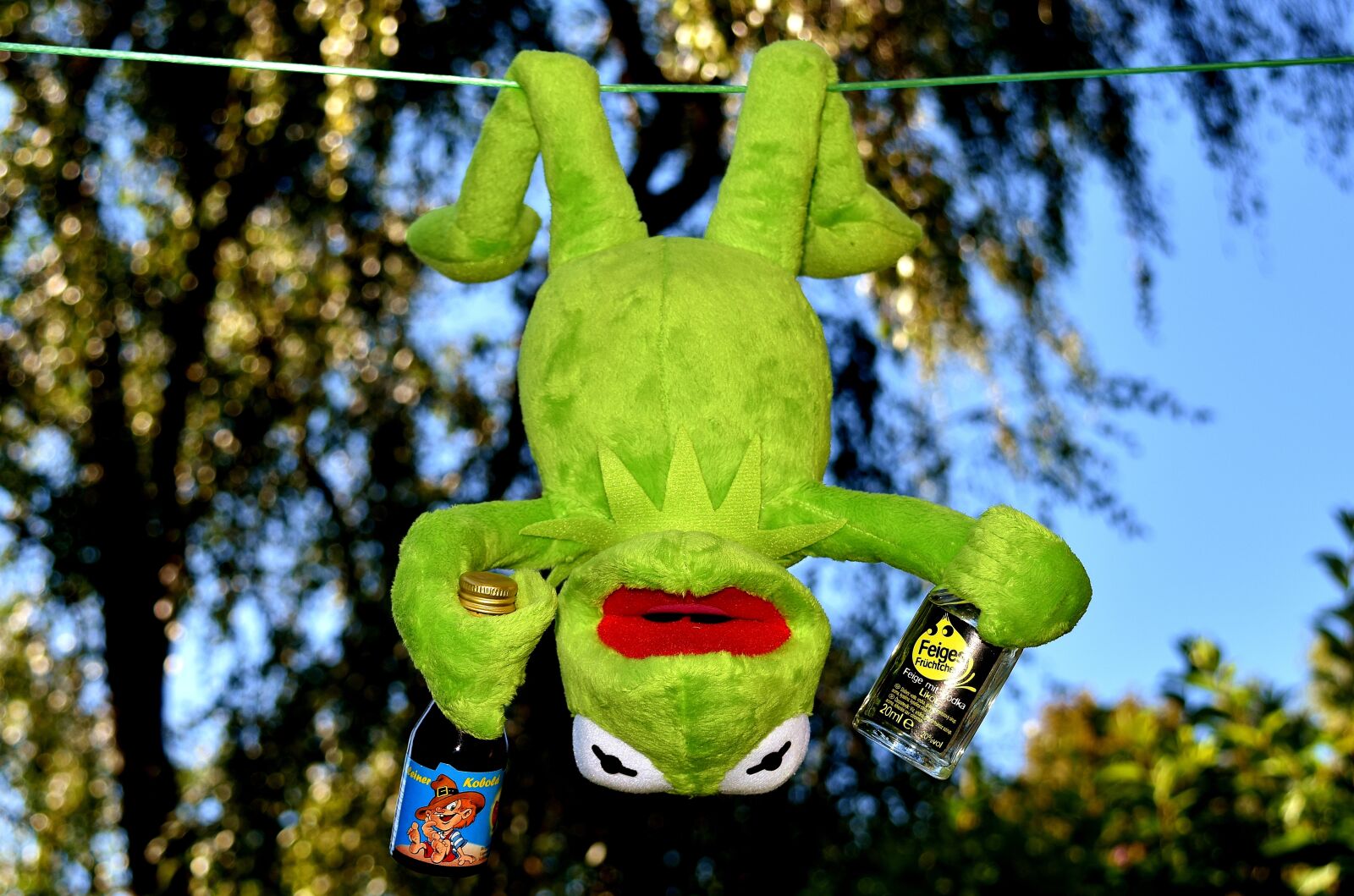 Nikon D7200 sample photo. Kermit, frog, drink photography