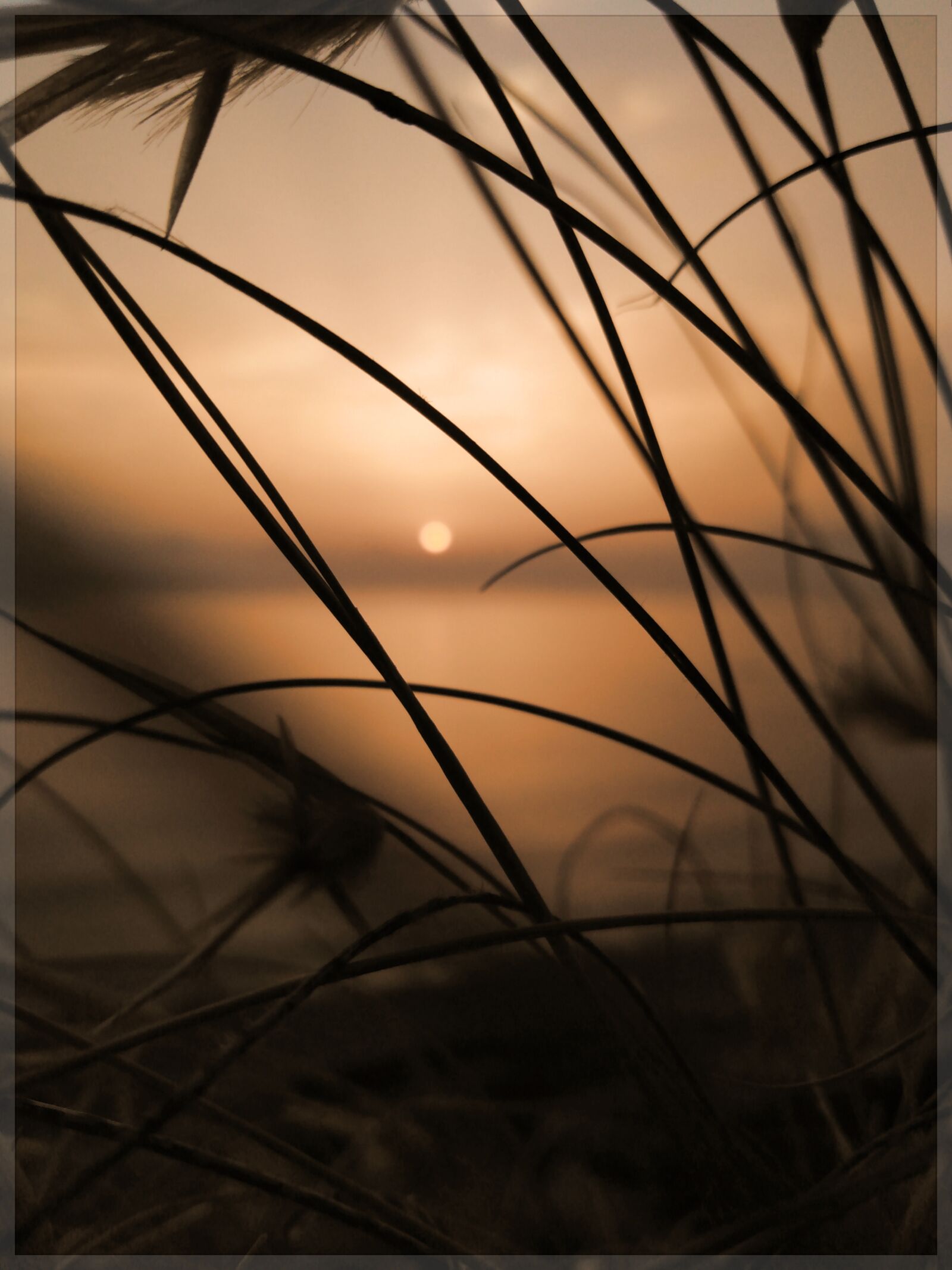 HUAWEI Y6 PRIME 2018 sample photo. Sun, sunset, colors photography
