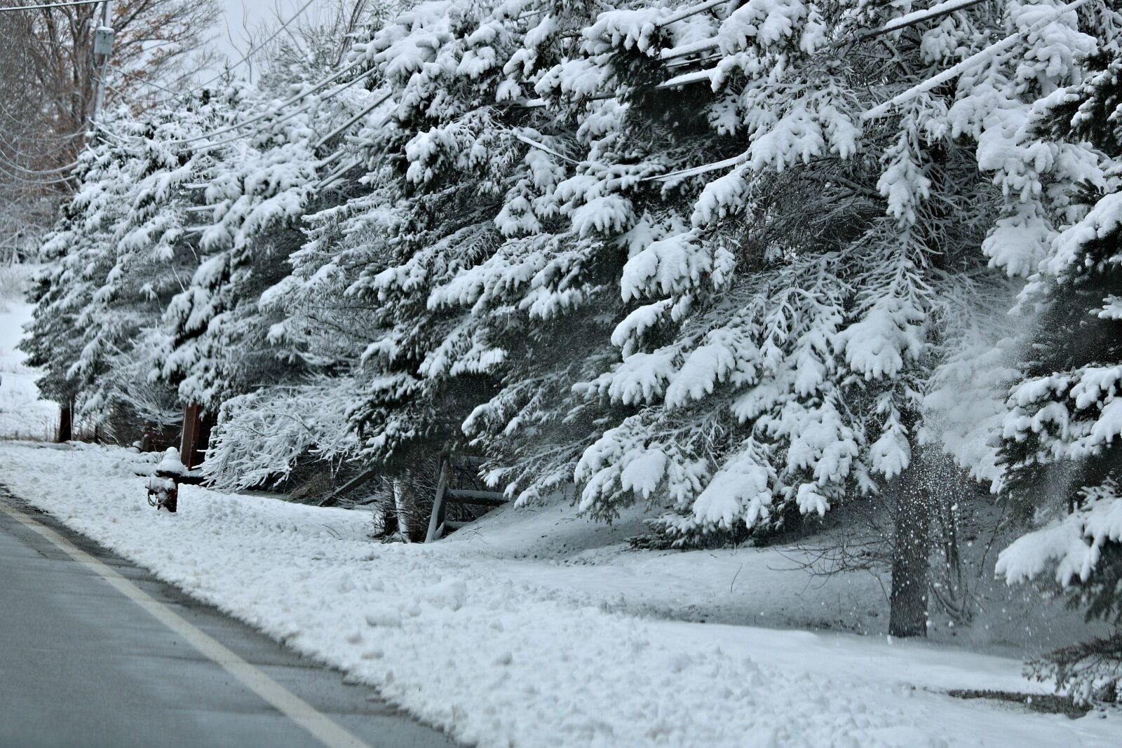 Canon EOS 750D (EOS Rebel T6i / EOS Kiss X8i) sample photo. Snow, snowfall, winter photography