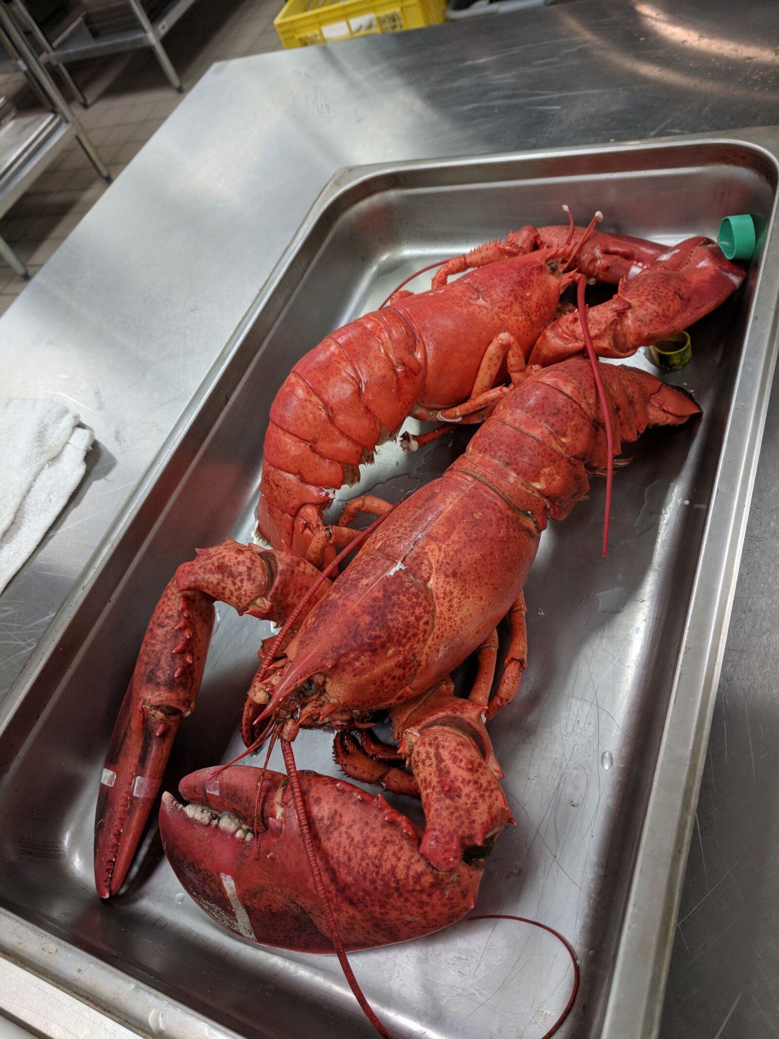 Google Pixel sample photo. Lobster, seafood, crab photography