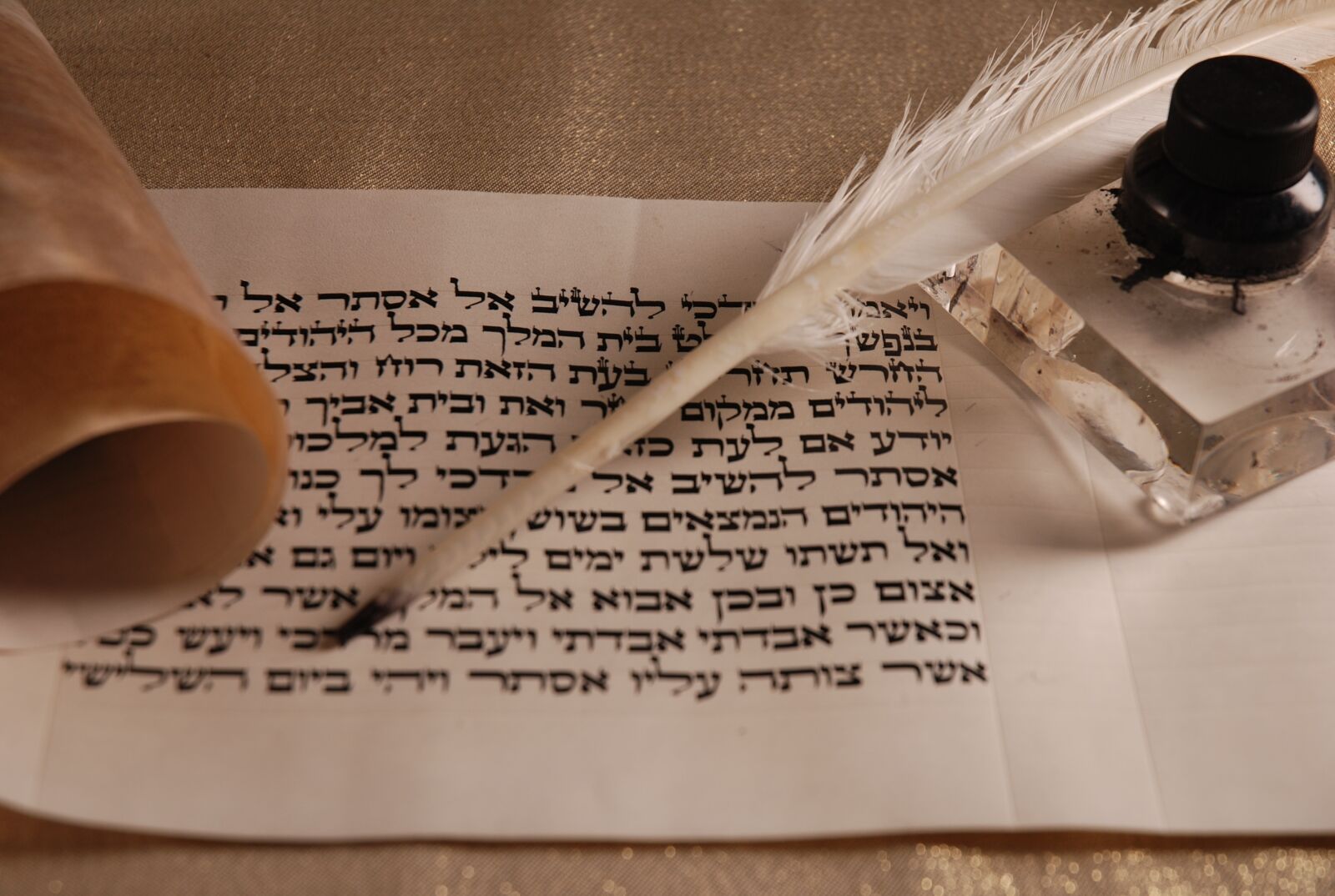 Nikon D80 sample photo. Scroll, feather, ink photography
