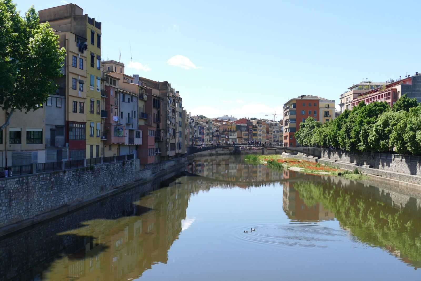 Panasonic Lumix DMC-FZ1000 sample photo. Girona, spain, city photography