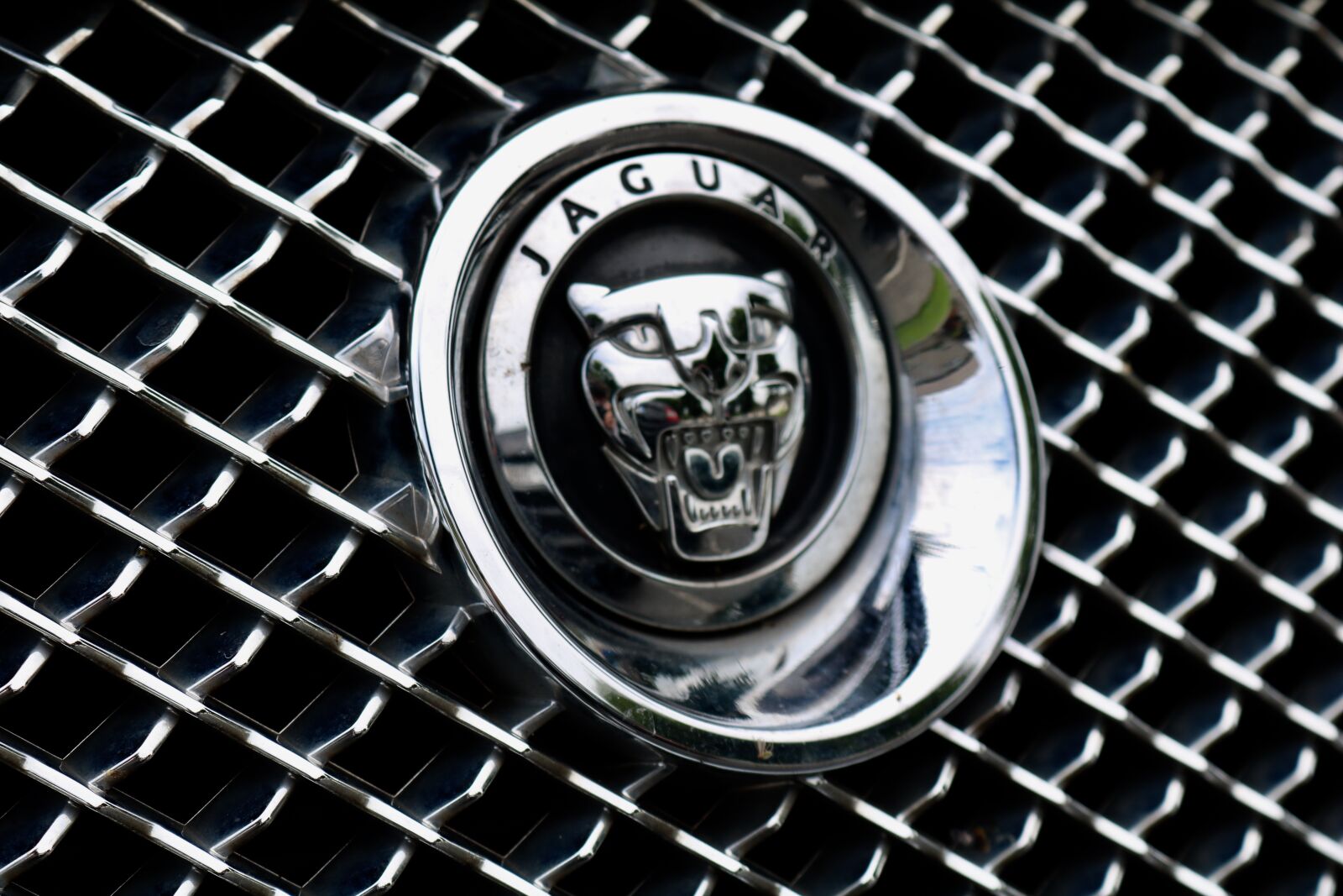 Canon EOS 750D (EOS Rebel T6i / EOS Kiss X8i) sample photo. Jaguar, auto, vehicle photography