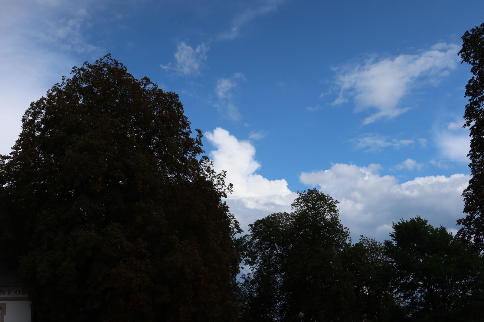 Canon PowerShot G7 X Mark III sample photo