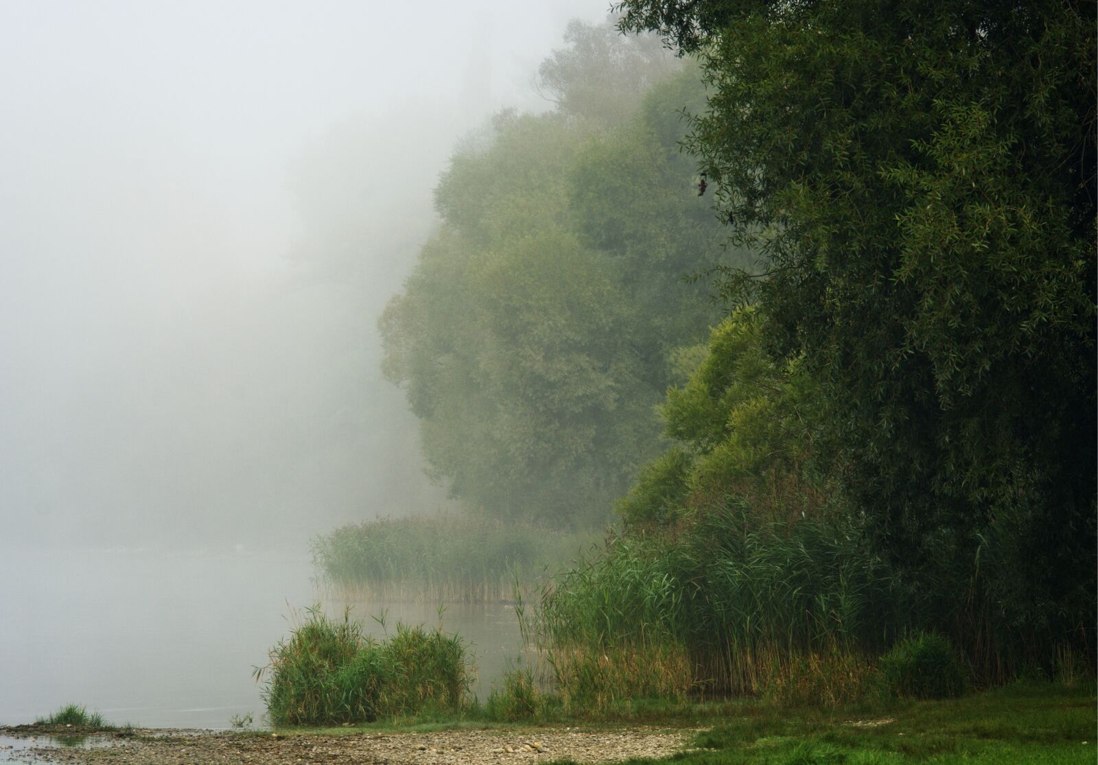 55.0-200.0mm f/4.0-f/5.6 sample photo. Bank, fog, water photography