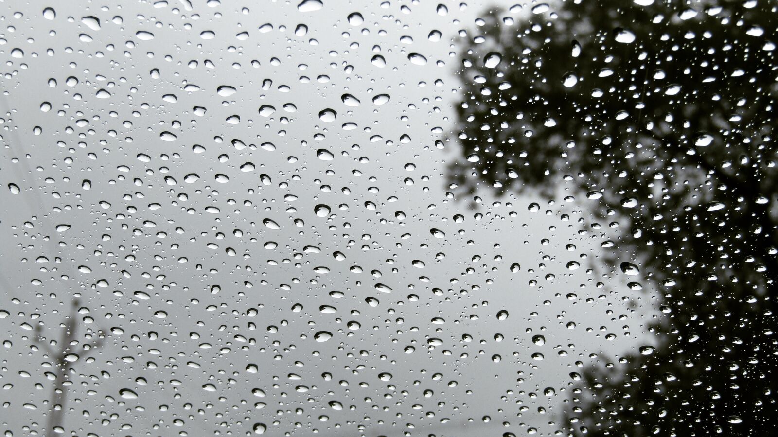 Canon PowerShot SX410 IS sample photo. Clear, droplets, drops photography