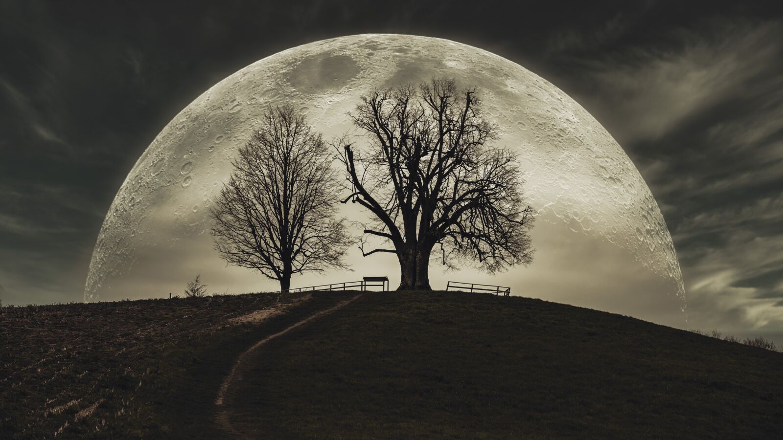Nikon Z6 sample photo. Moon, night, full moon photography