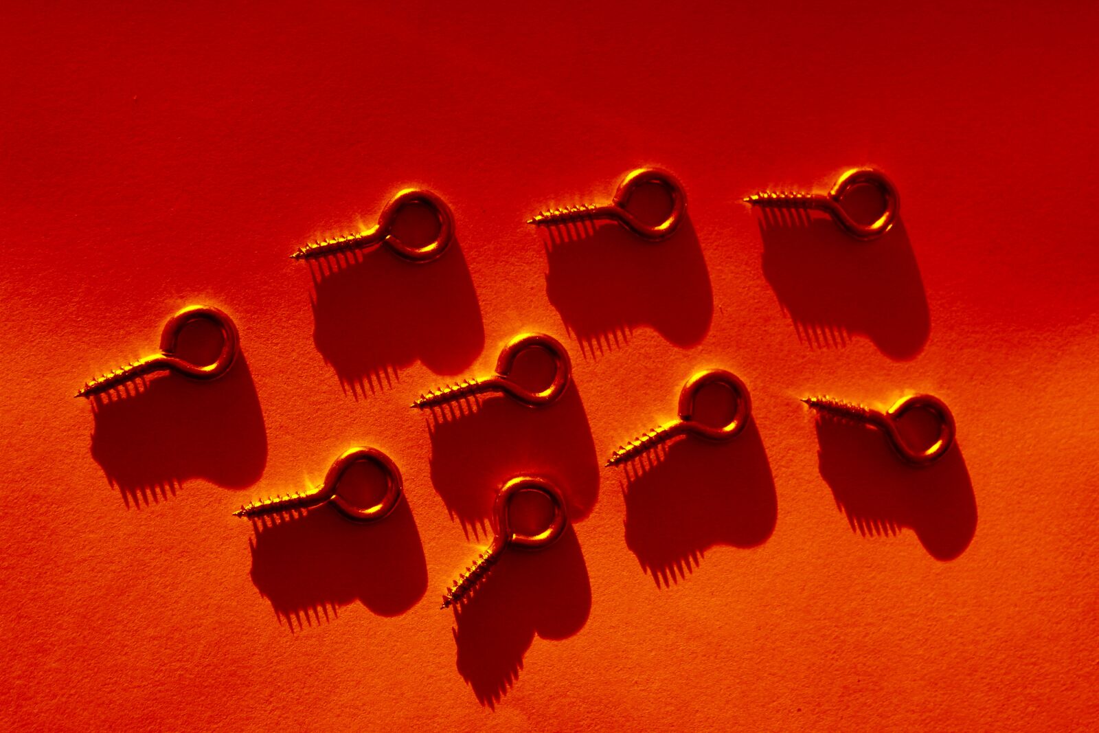 Canon EOS 550D (EOS Rebel T2i / EOS Kiss X4) sample photo. Screws, eyelets, metal photography