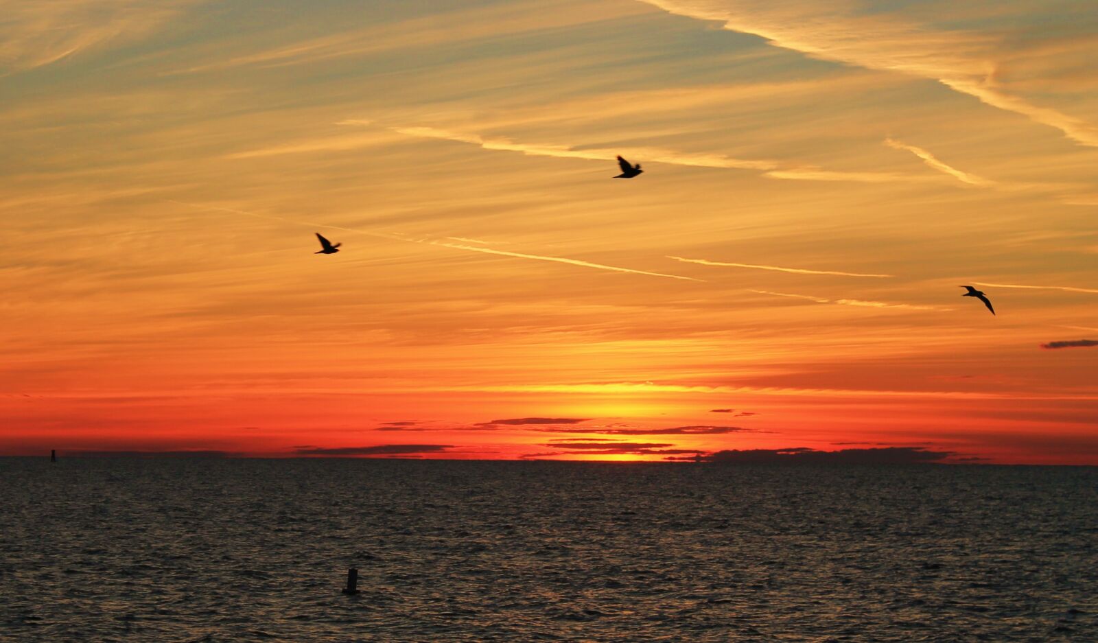 Canon EOS 1100D (EOS Rebel T3 / EOS Kiss X50) sample photo. Beach, sun, clearwater beach photography