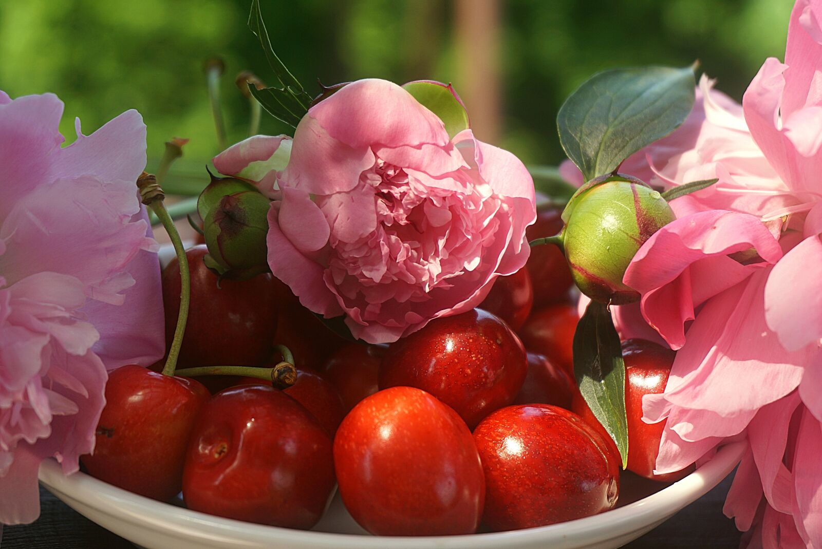 Sony a6000 sample photo. Cherry ripe, red, peonies photography