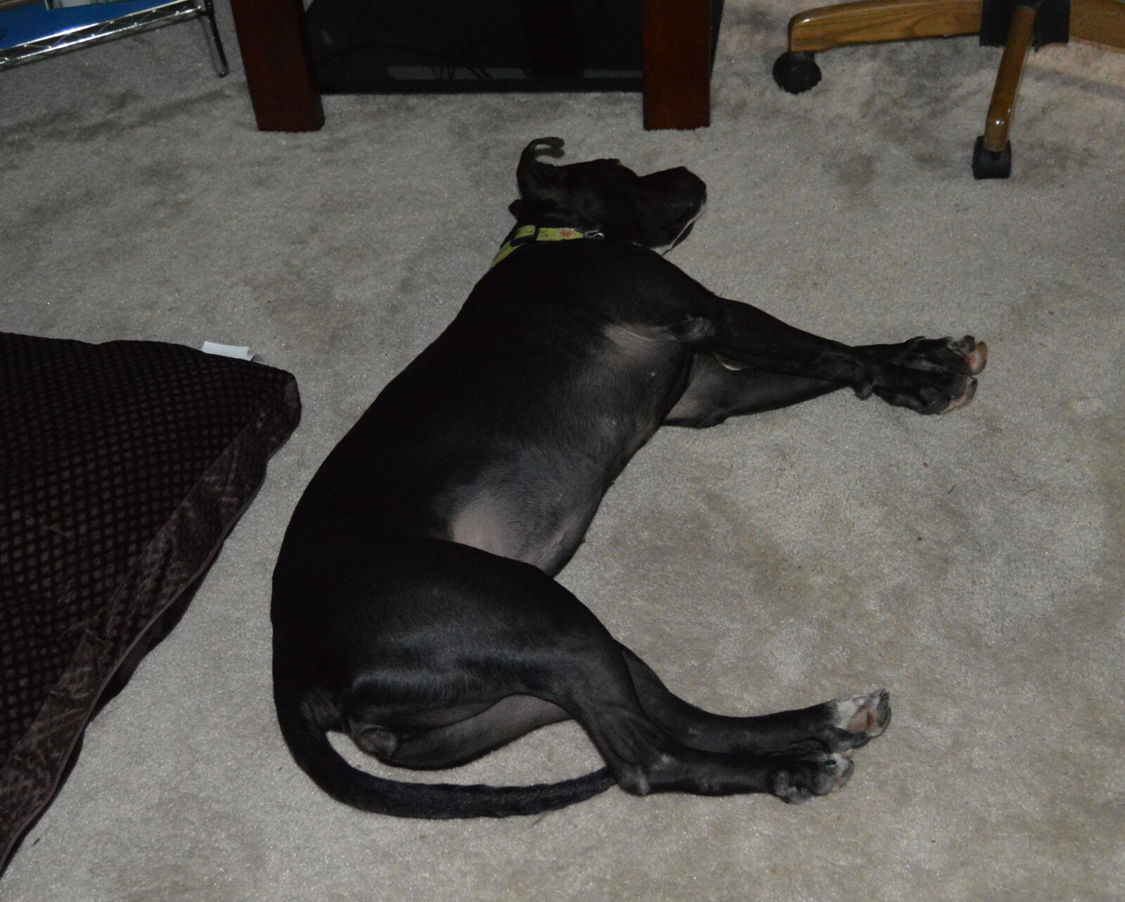 Nikon D3200 sample photo