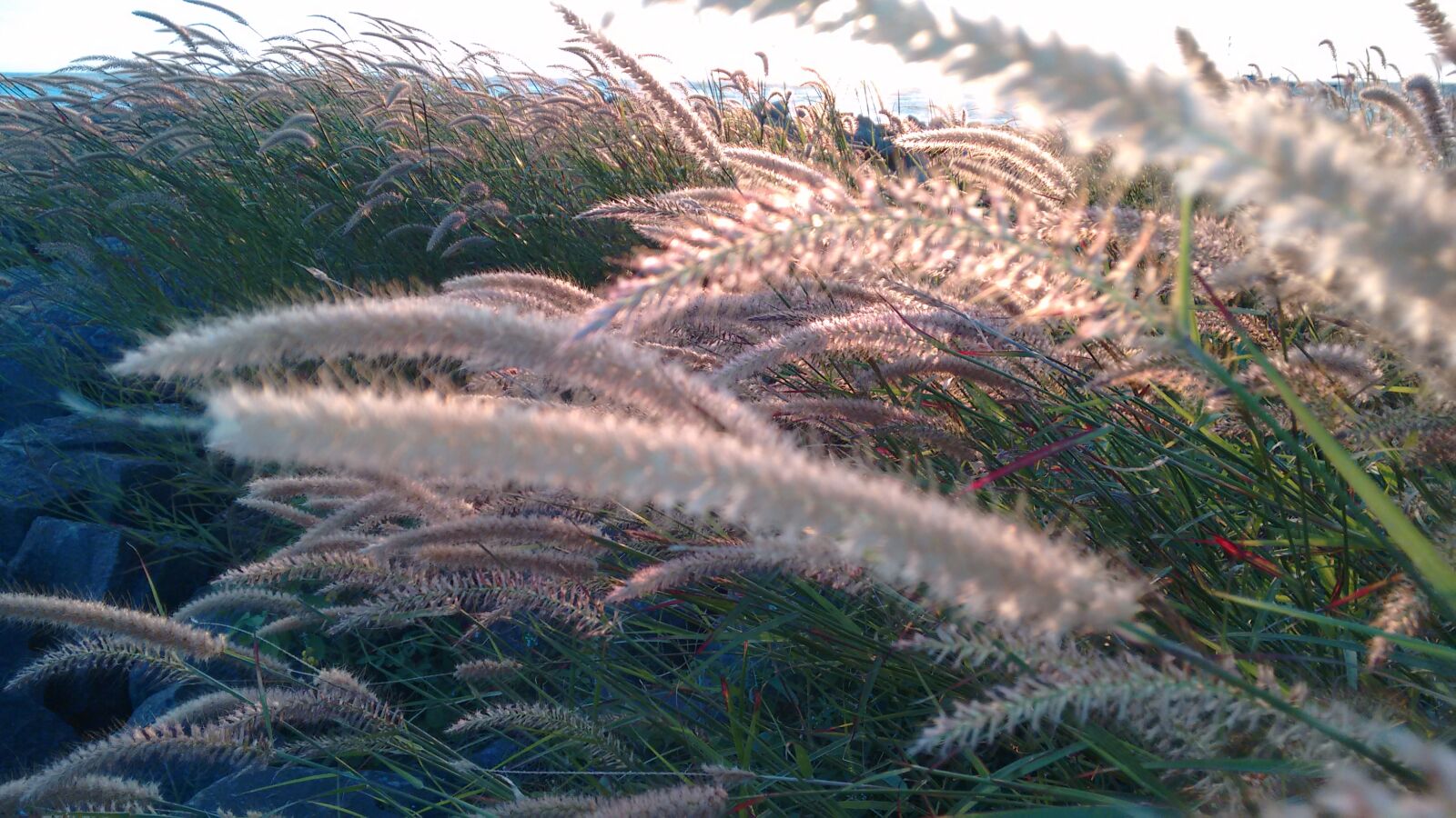 Motorola Moto G (2nd Gen) sample photo