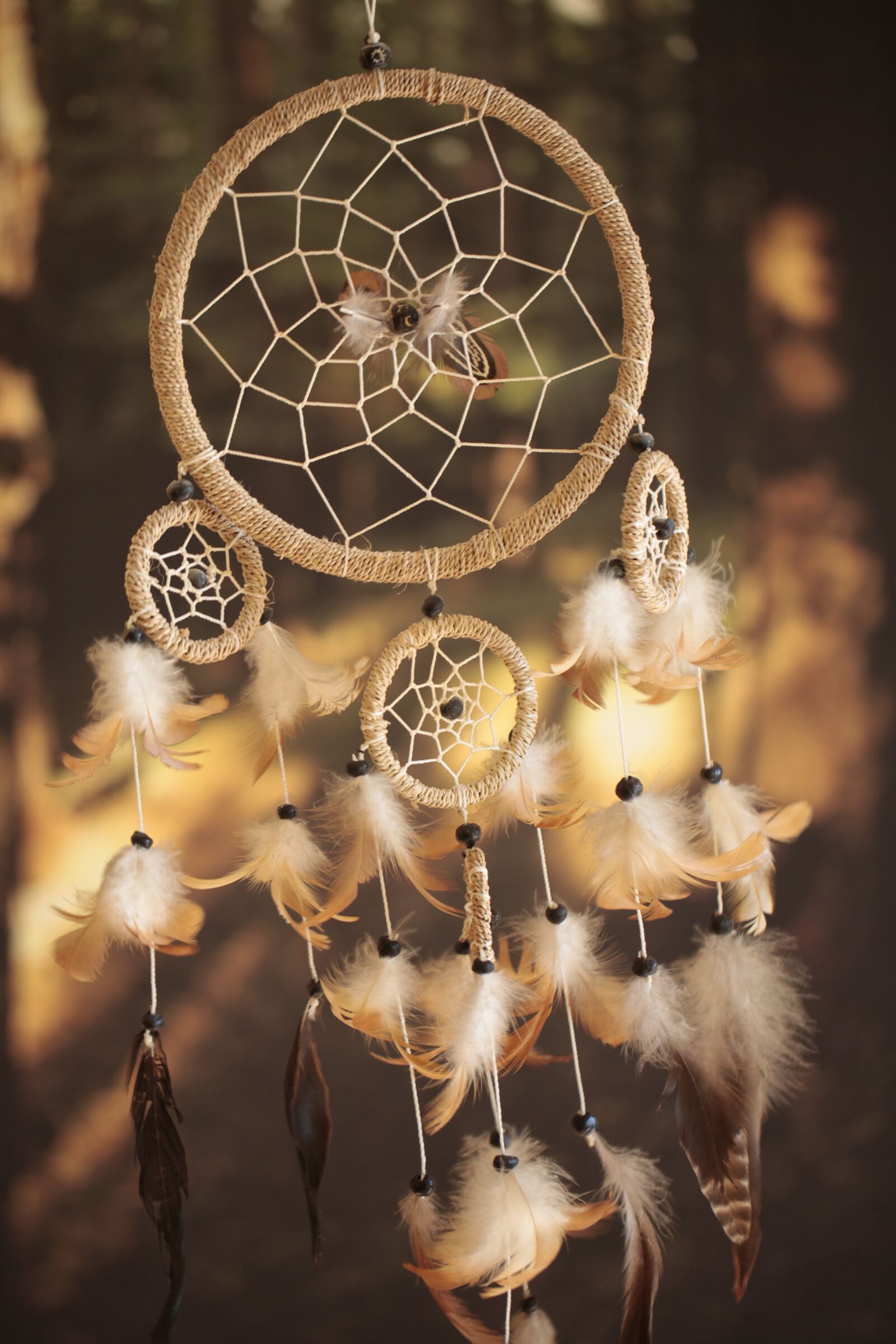 Canon EOS 5D Mark II sample photo. Dreamcatcher, feathers, indian photography