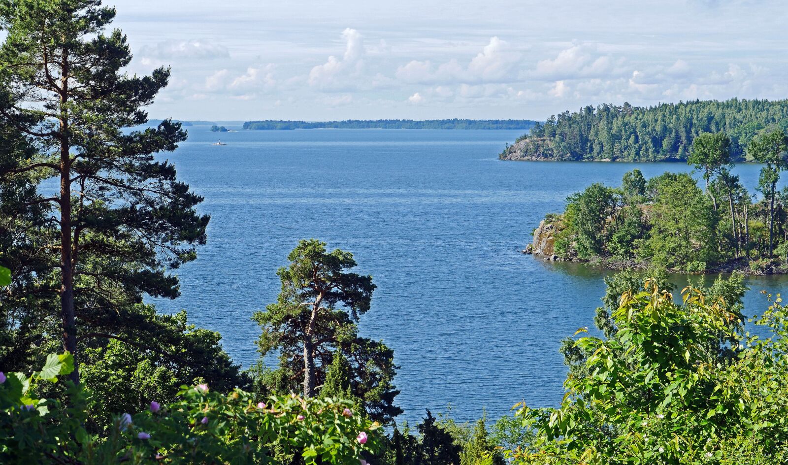 Panasonic Lumix DMC-GX8 sample photo. Sweden, mälaren, lake photography