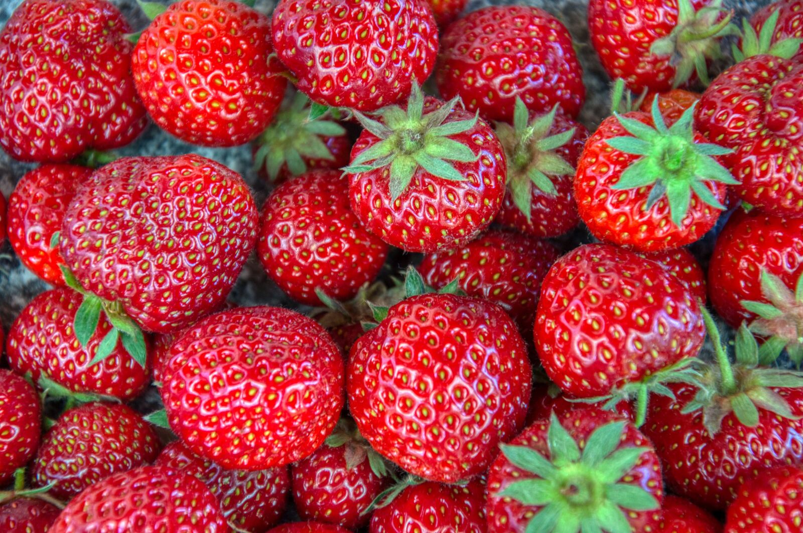 Nikon D5000 sample photo. Strawberries, fresh, harvested photography