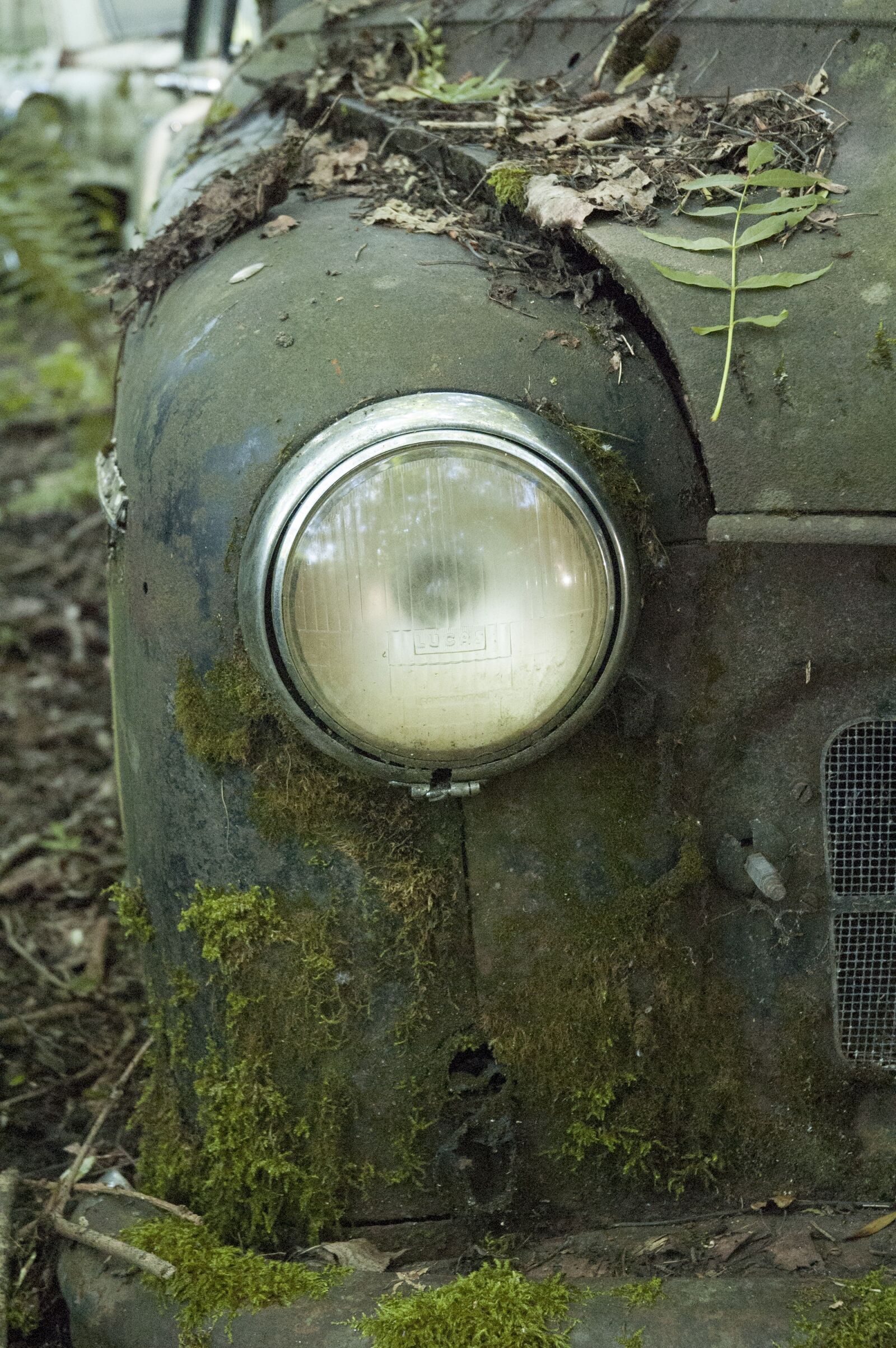 Nikon D70 sample photo. Auto, car cemetery, oldtimer photography
