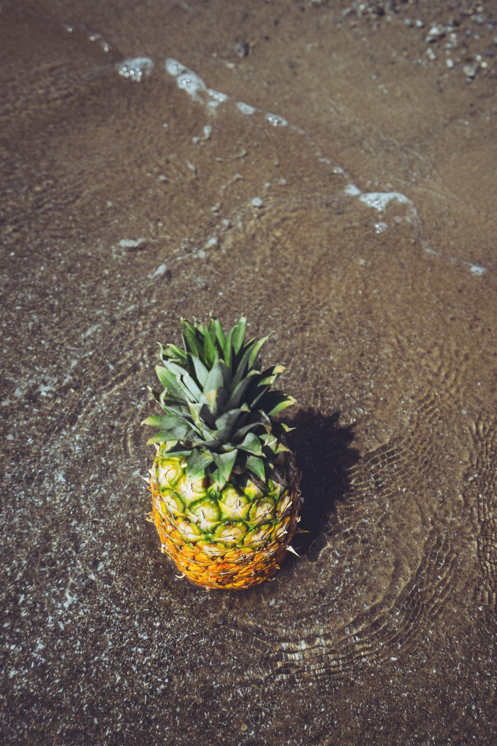 Sony Vario-Tessar T* FE 16-35mm F4 ZA OSS sample photo. Beach, fruit, golden, pineapple photography