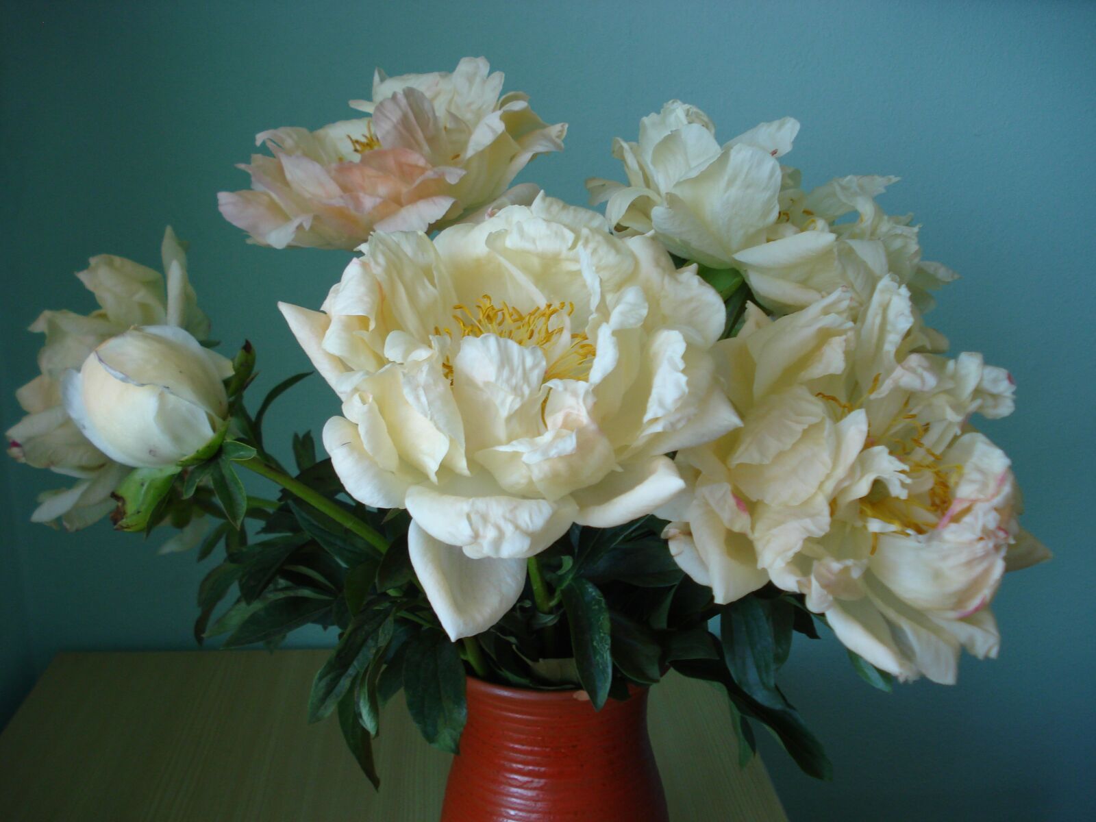 Sony DSC-W55 sample photo. Peonies, flowers, bouquet photography