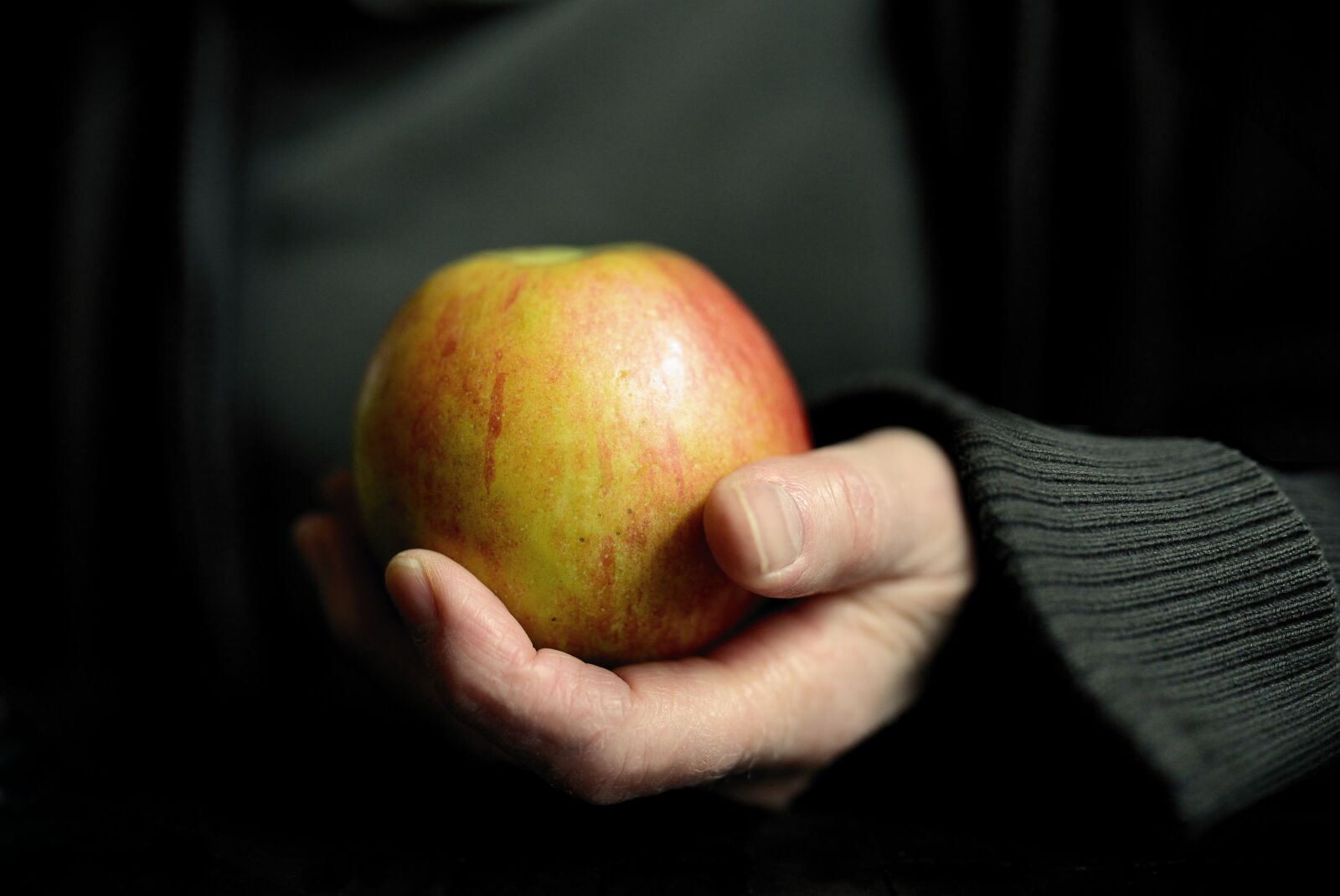 Nikon D610 sample photo. Apple, hand, keep photography