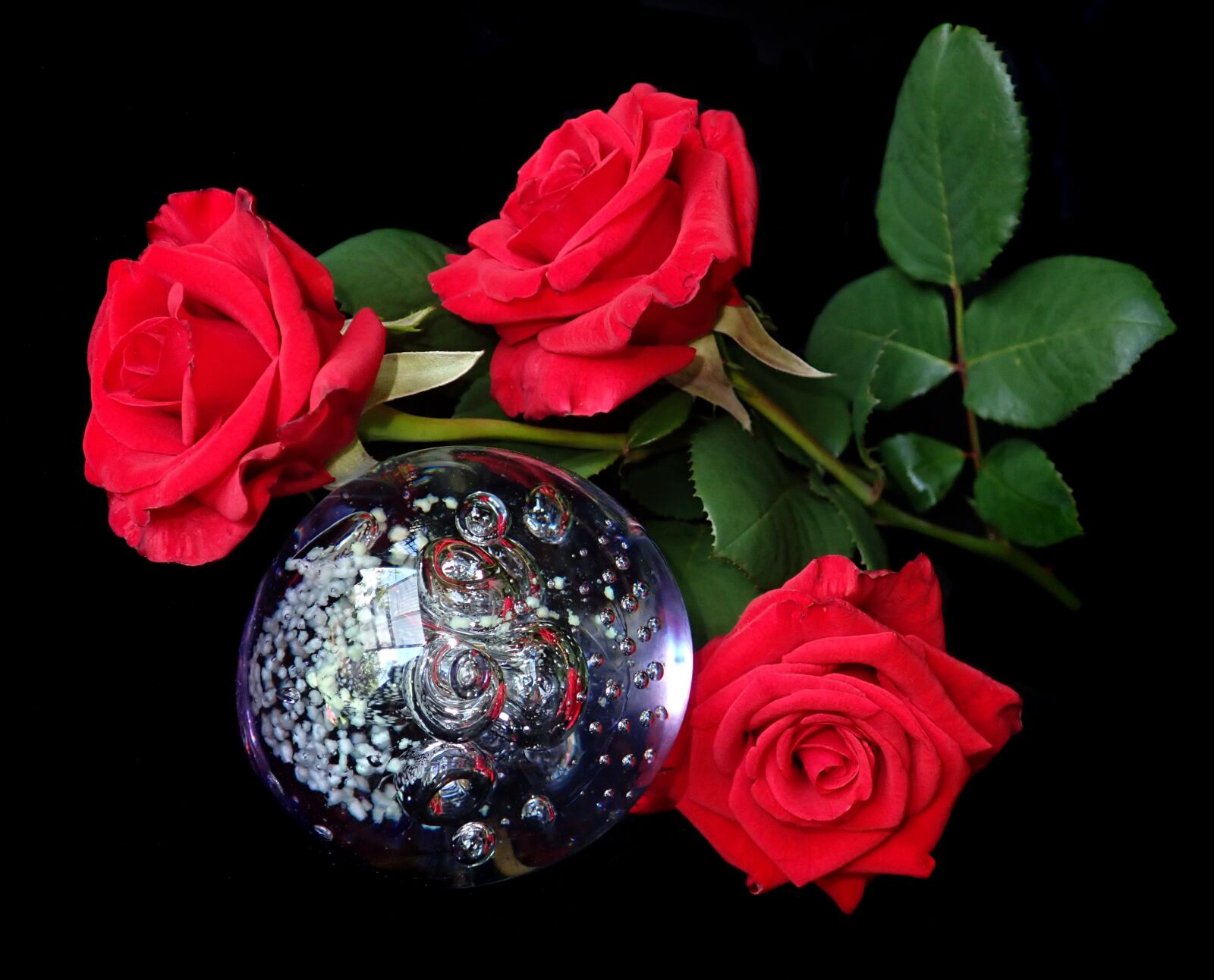 Olympus TG-5 sample photo. Roses, red, flowers photography