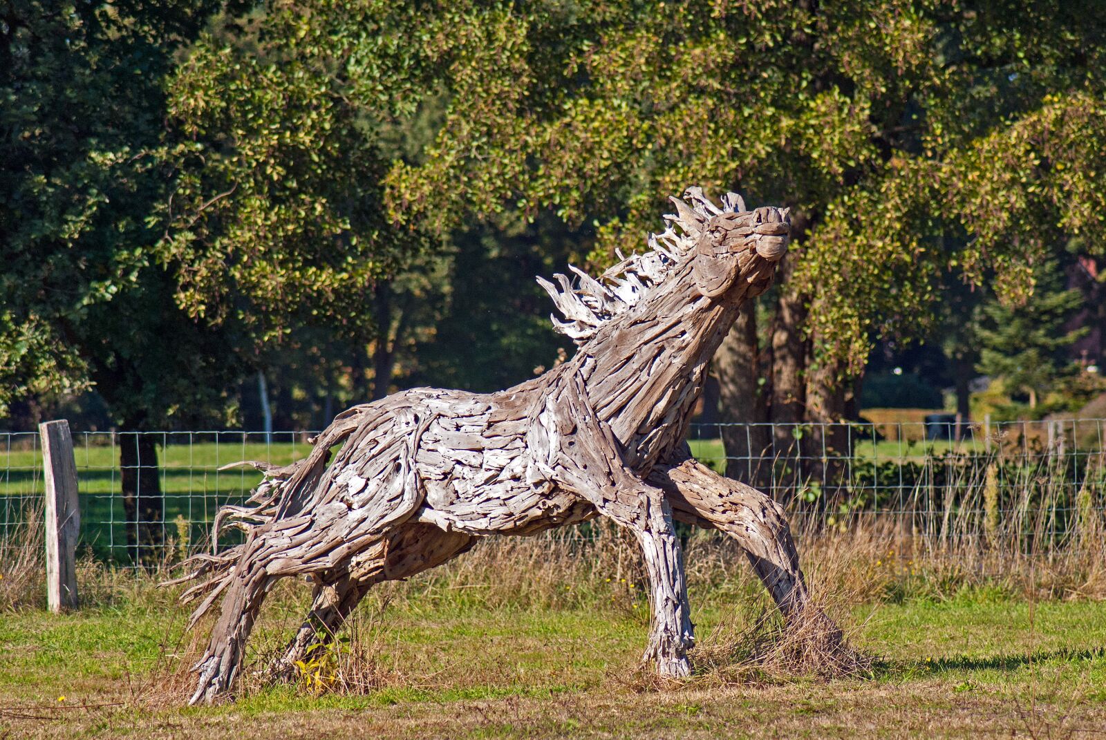 Nikon D3000 sample photo. Horse, wood, nature photography
